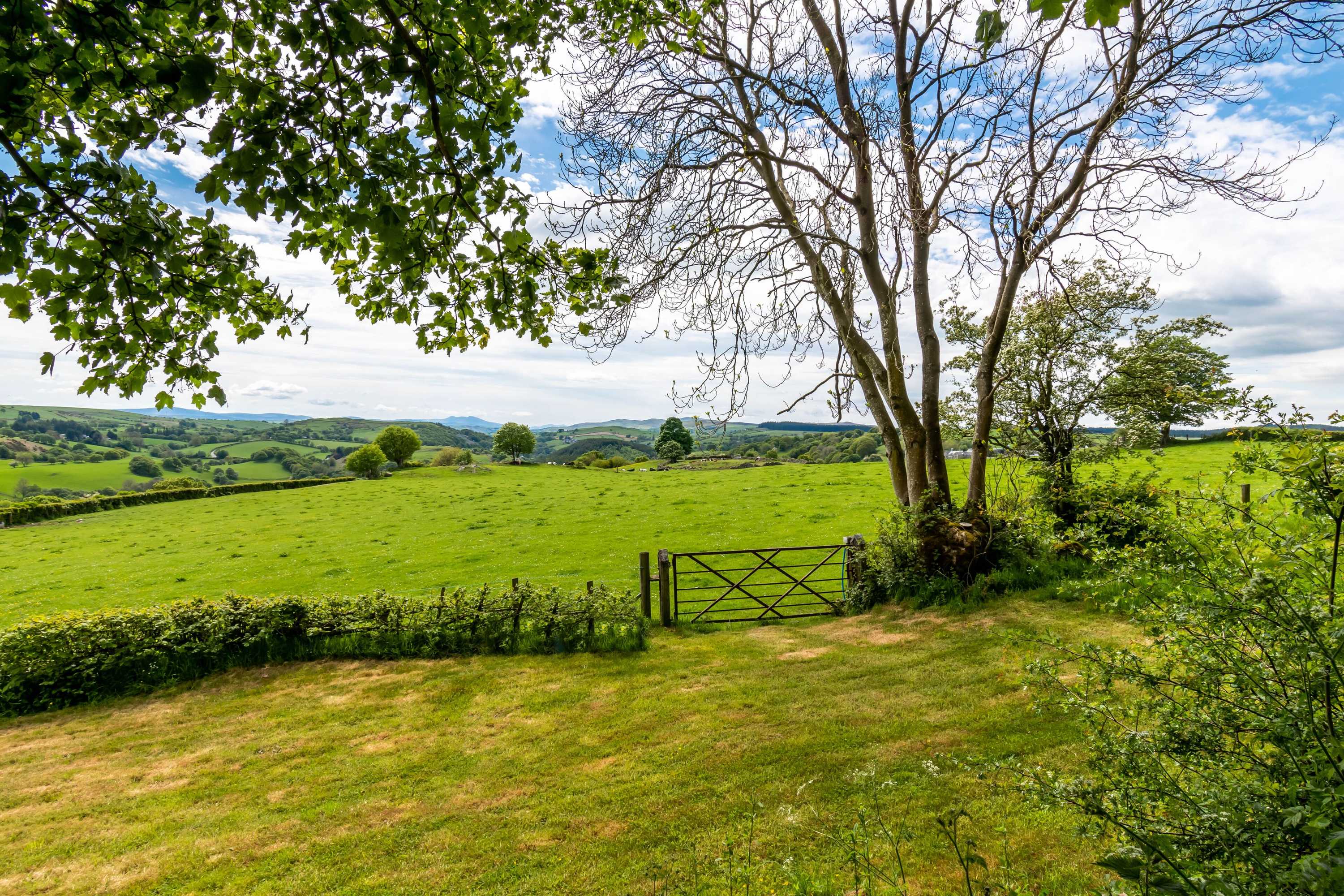 Gift card for Bwthyn Clychau'r Gog