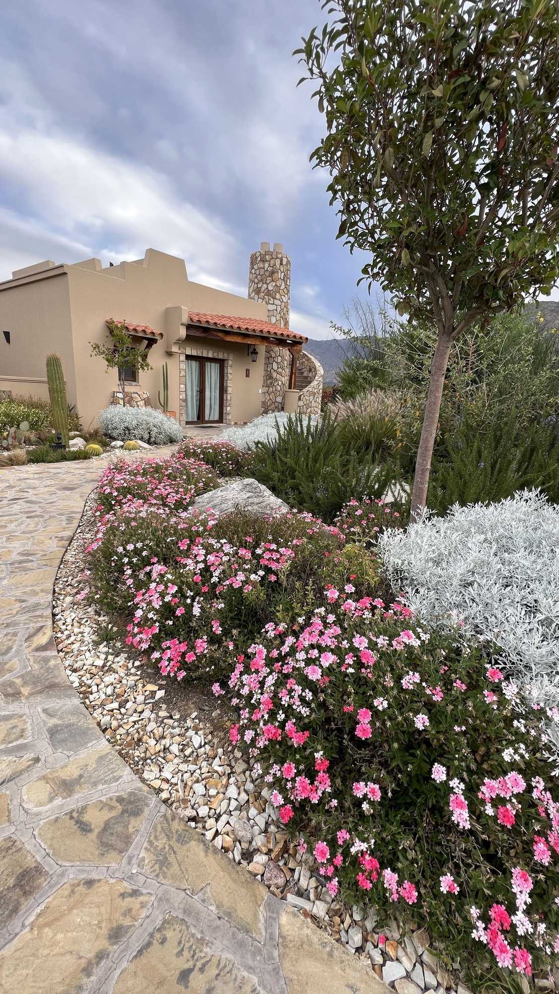 Gift card for Piattelli Wine Resort Hotel Cafayate Gift card for Piattelli Wine Resort Hotel Cafayate