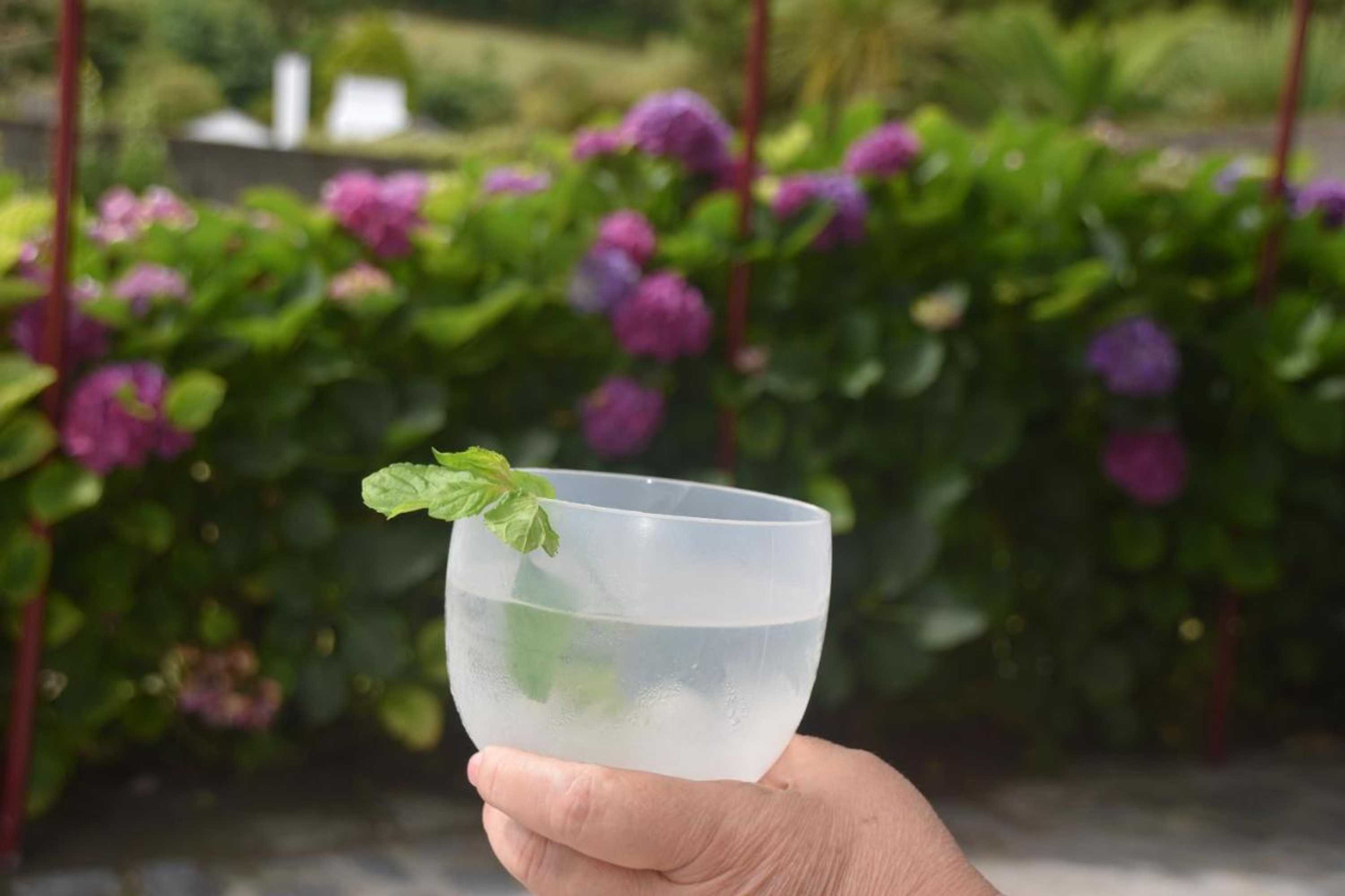 Gift card for Casa do Vale