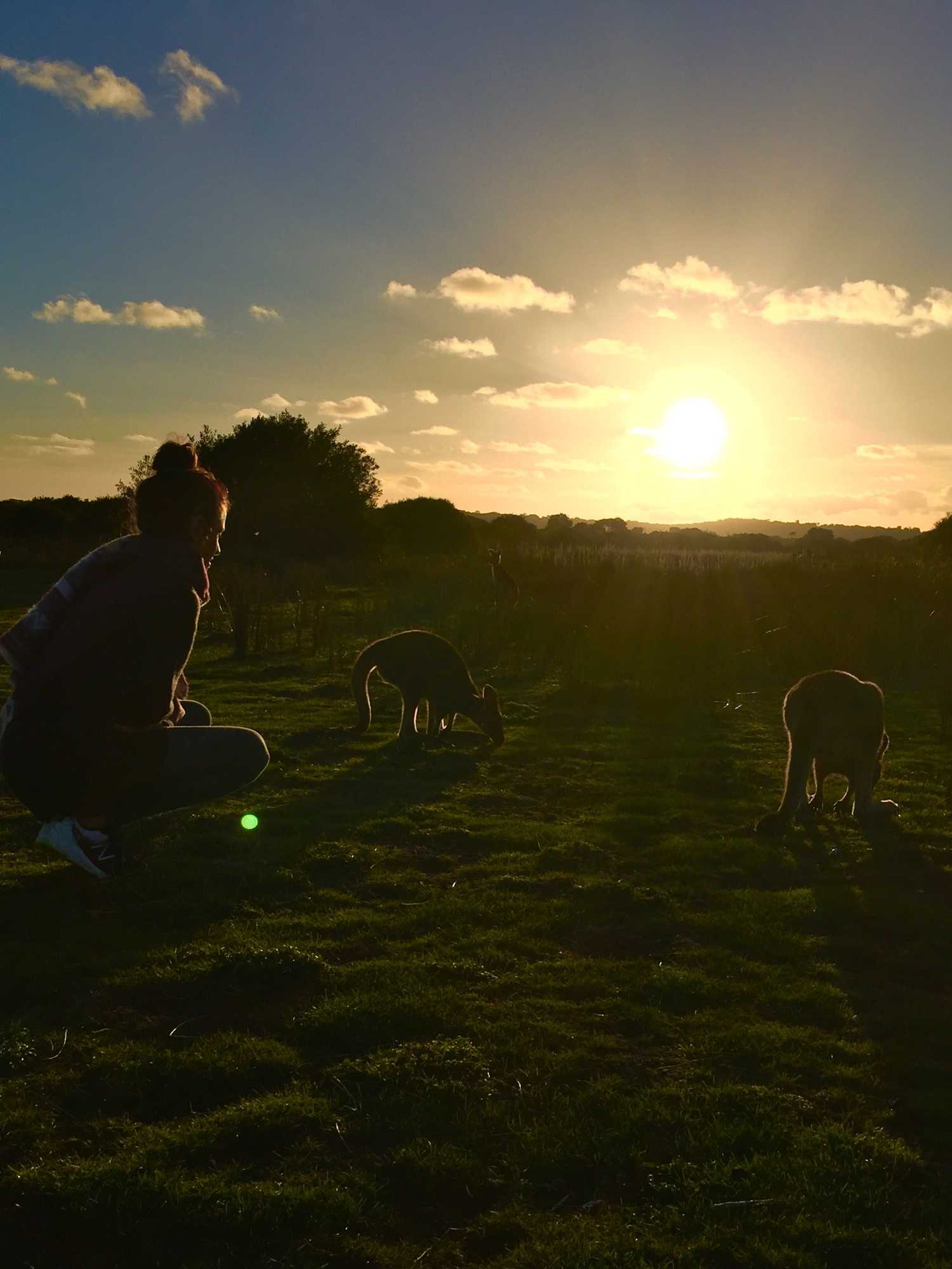 Gift card for Prom Coast Apartments