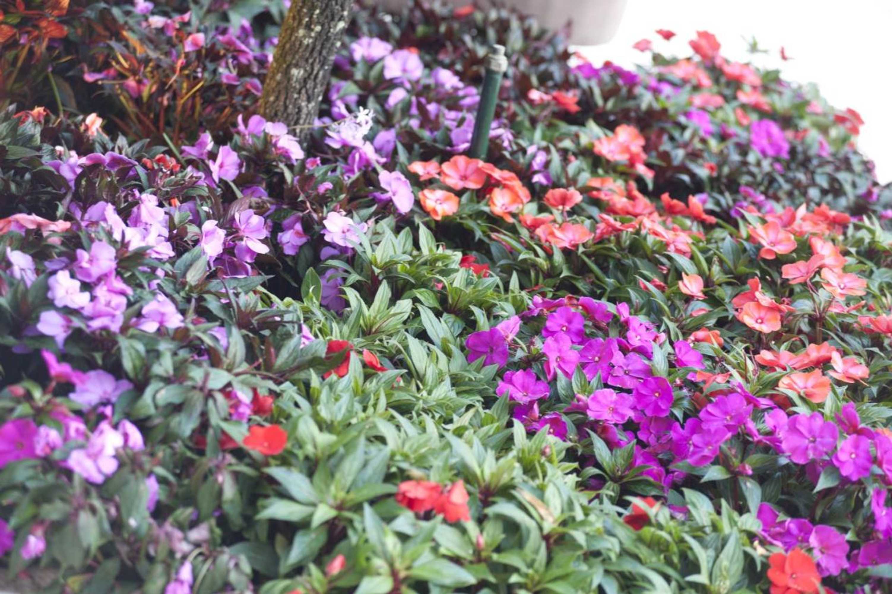 Gift card for Quinta de Valverde