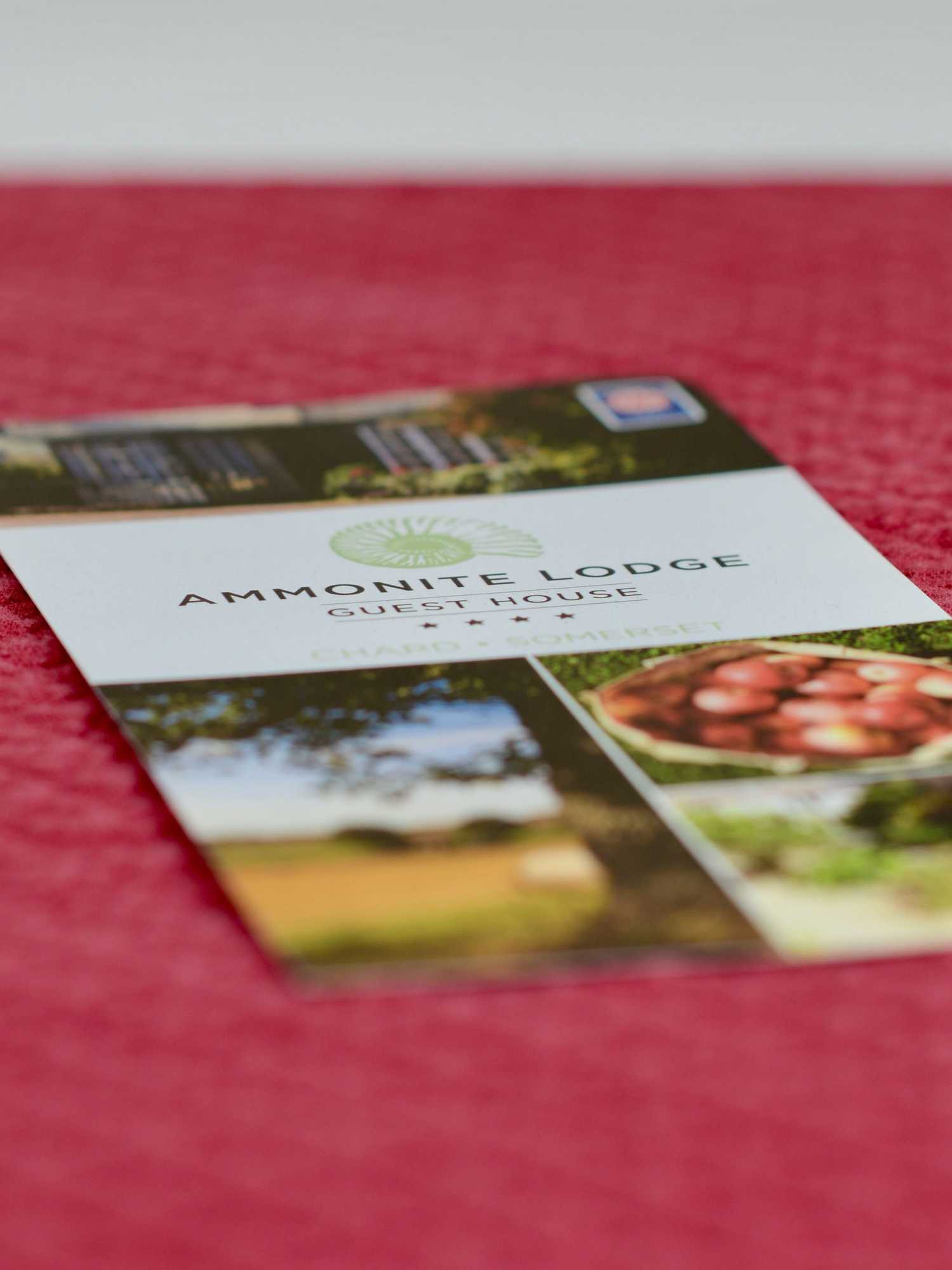 Gift card for Ammonite Lodge Guest House Gift card for Ammonite Lodge Guest House