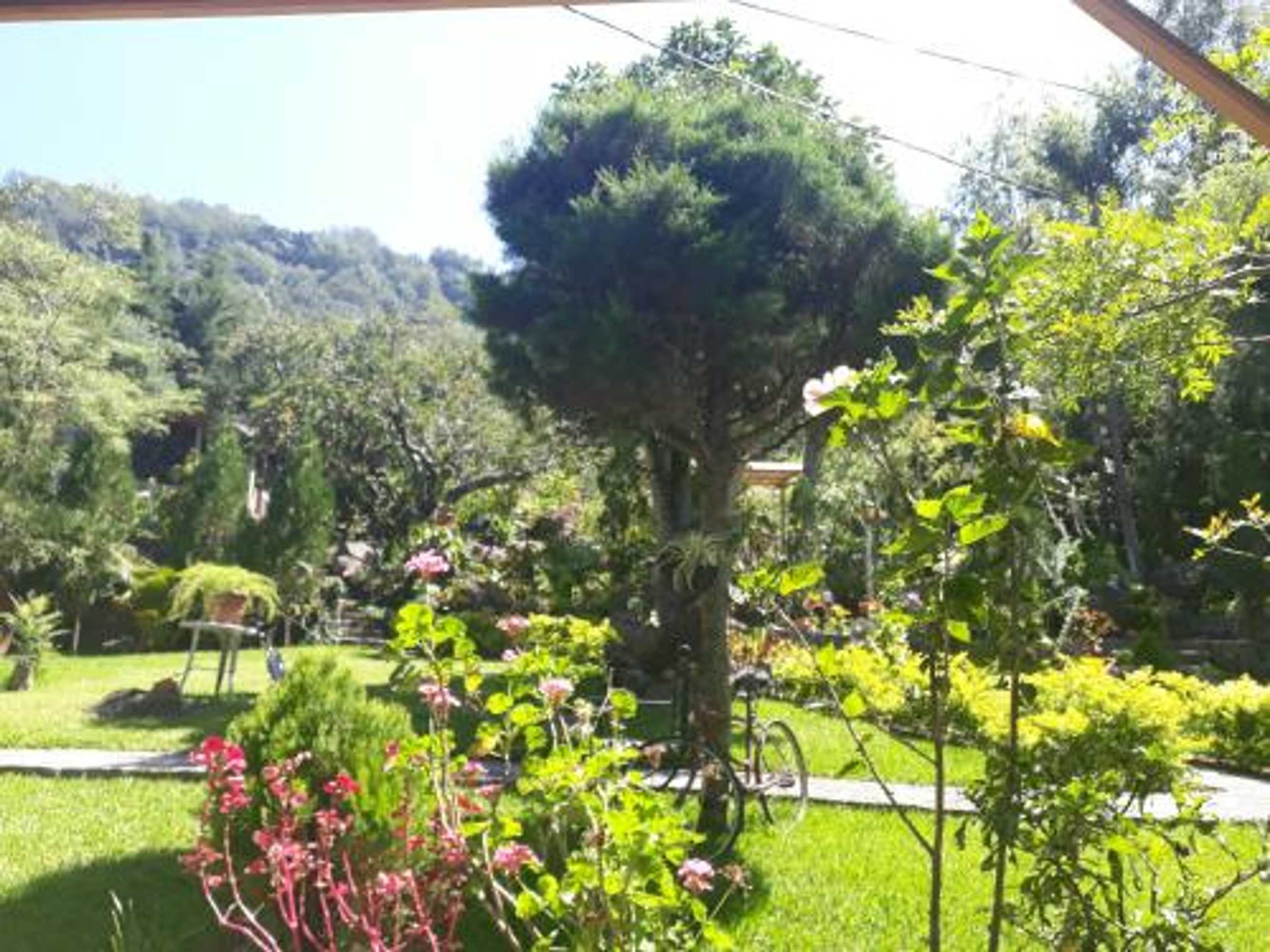 Gift card for Hotel y Bungalows Ecologicos Marcelo Gift card for Hotel y Bungalows Ecologicos Marcelo