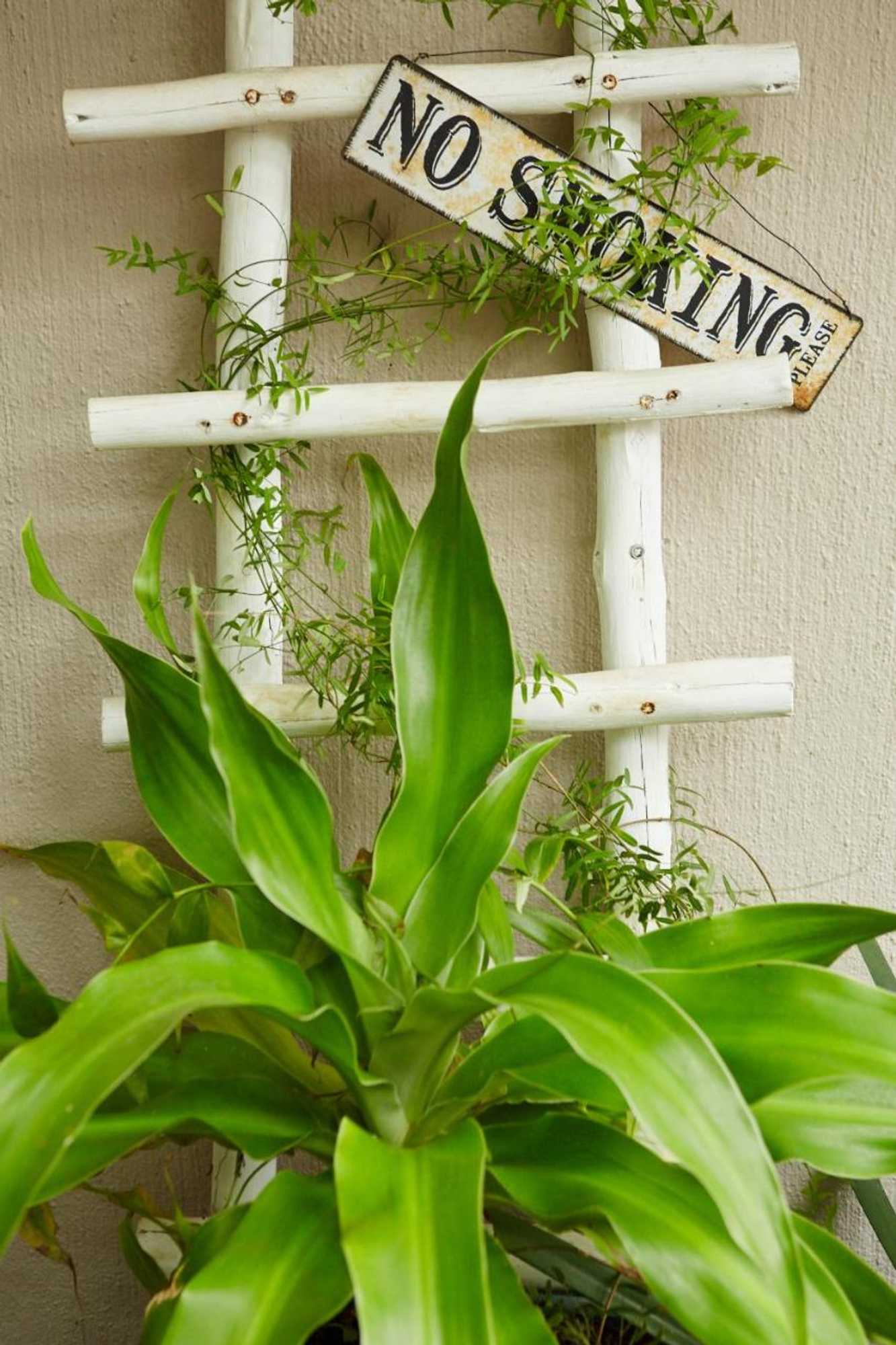 Gift card for The Fever Tree Guest House