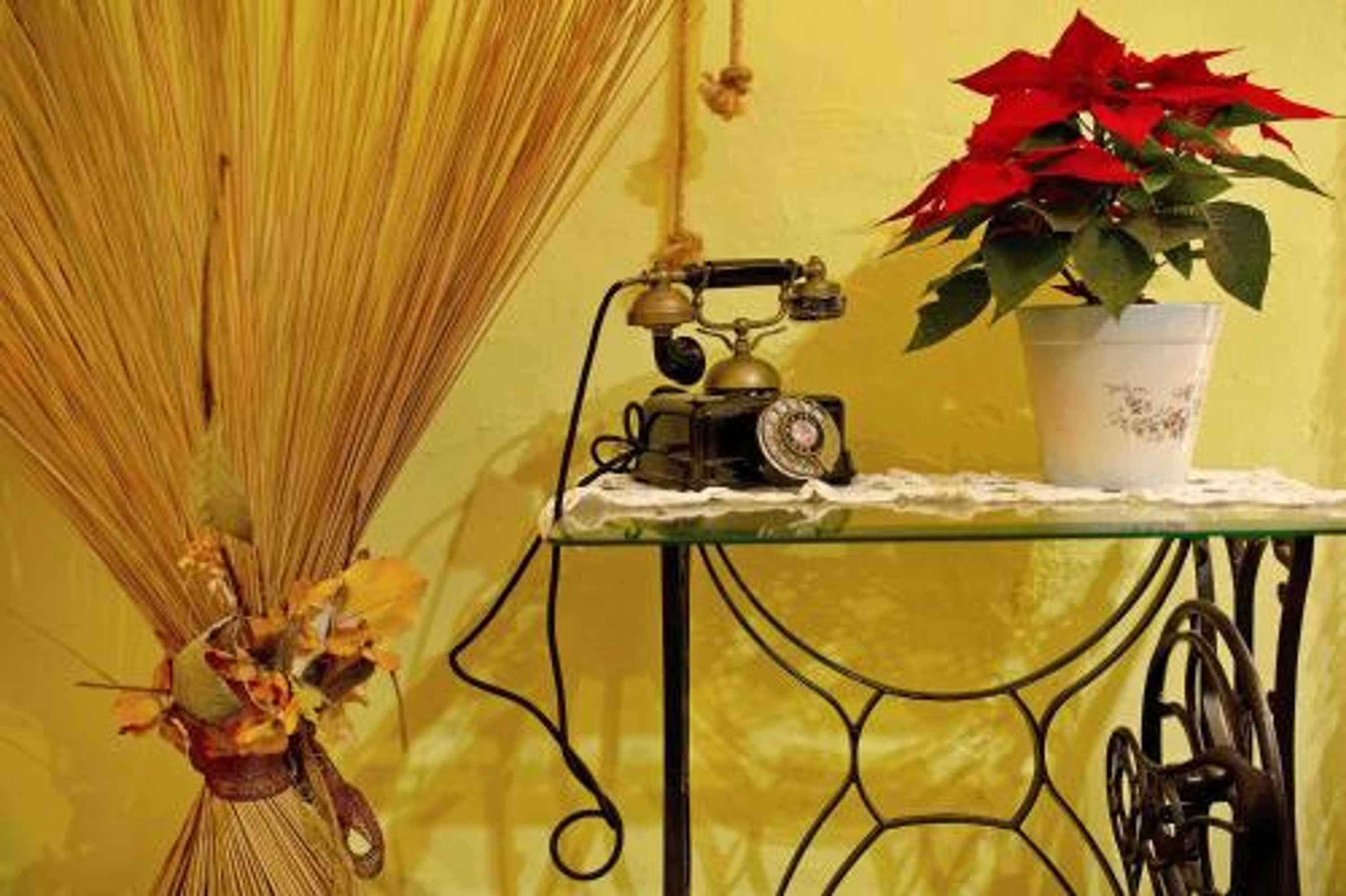 Gift card for Casa Rural LA Asomada Gift card for Casa Rural LA Asomada