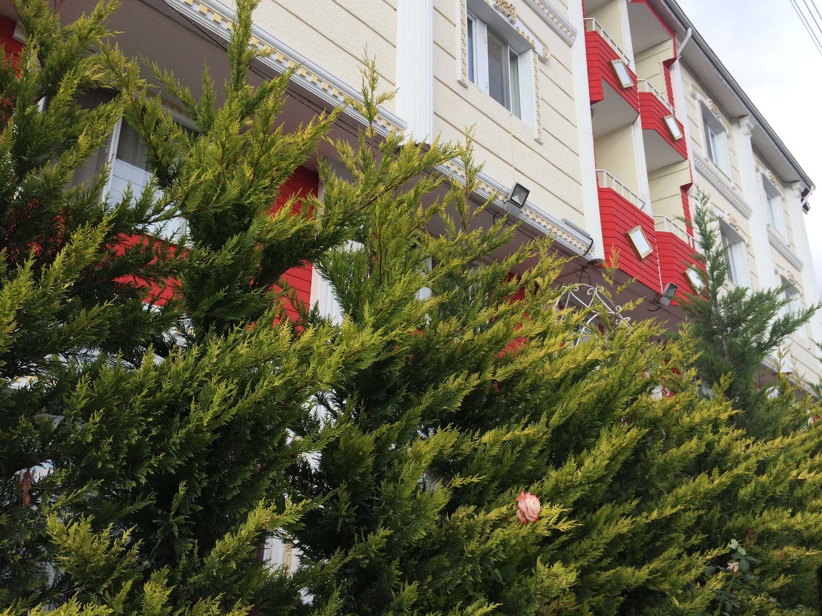 Gift card for Bolu Otel Gift card for Bolu Otel