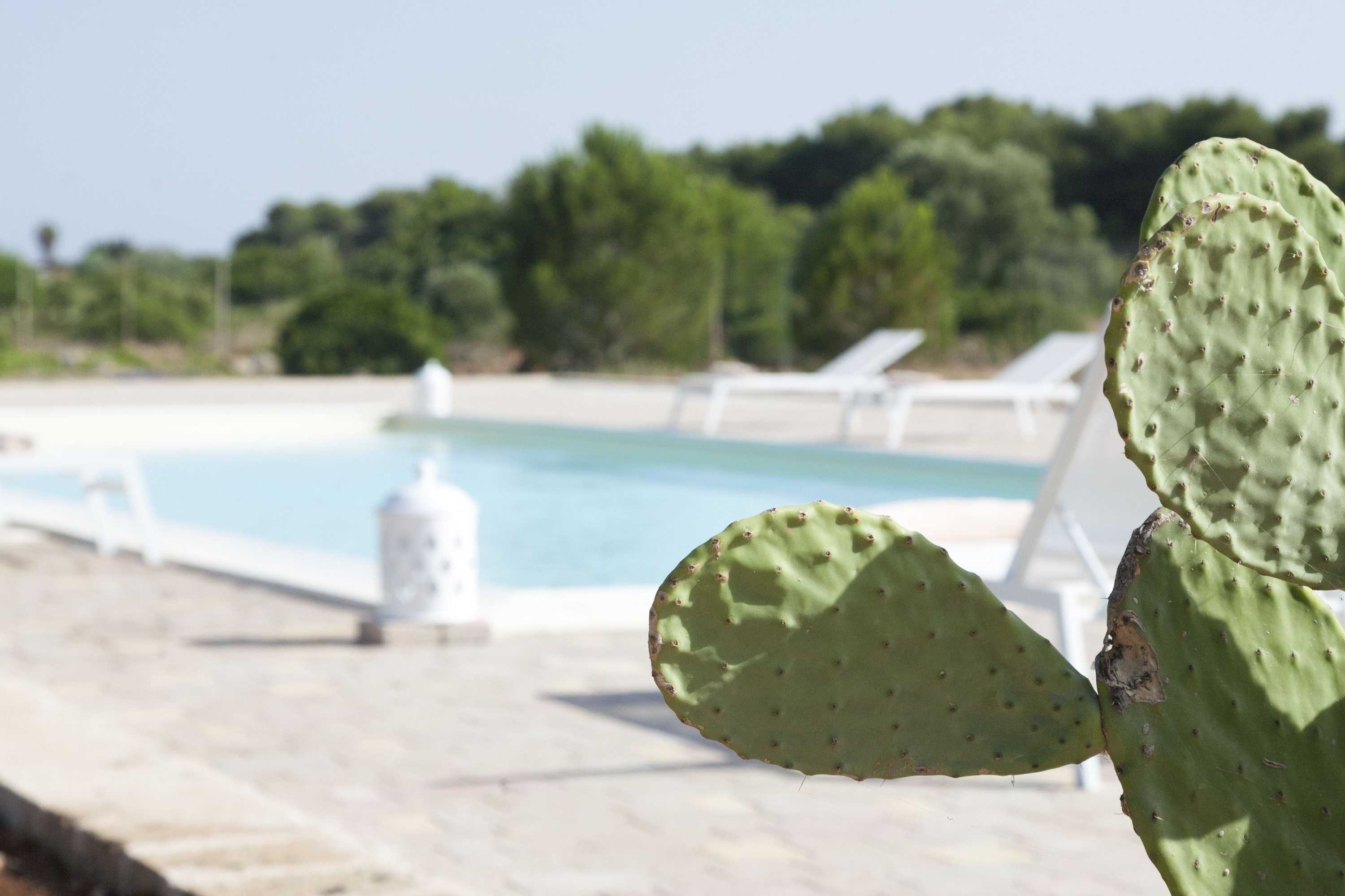 Gift card for Hotel Due Passi Dal Pizzo Gift card for Hotel Due Passi Dal Pizzo