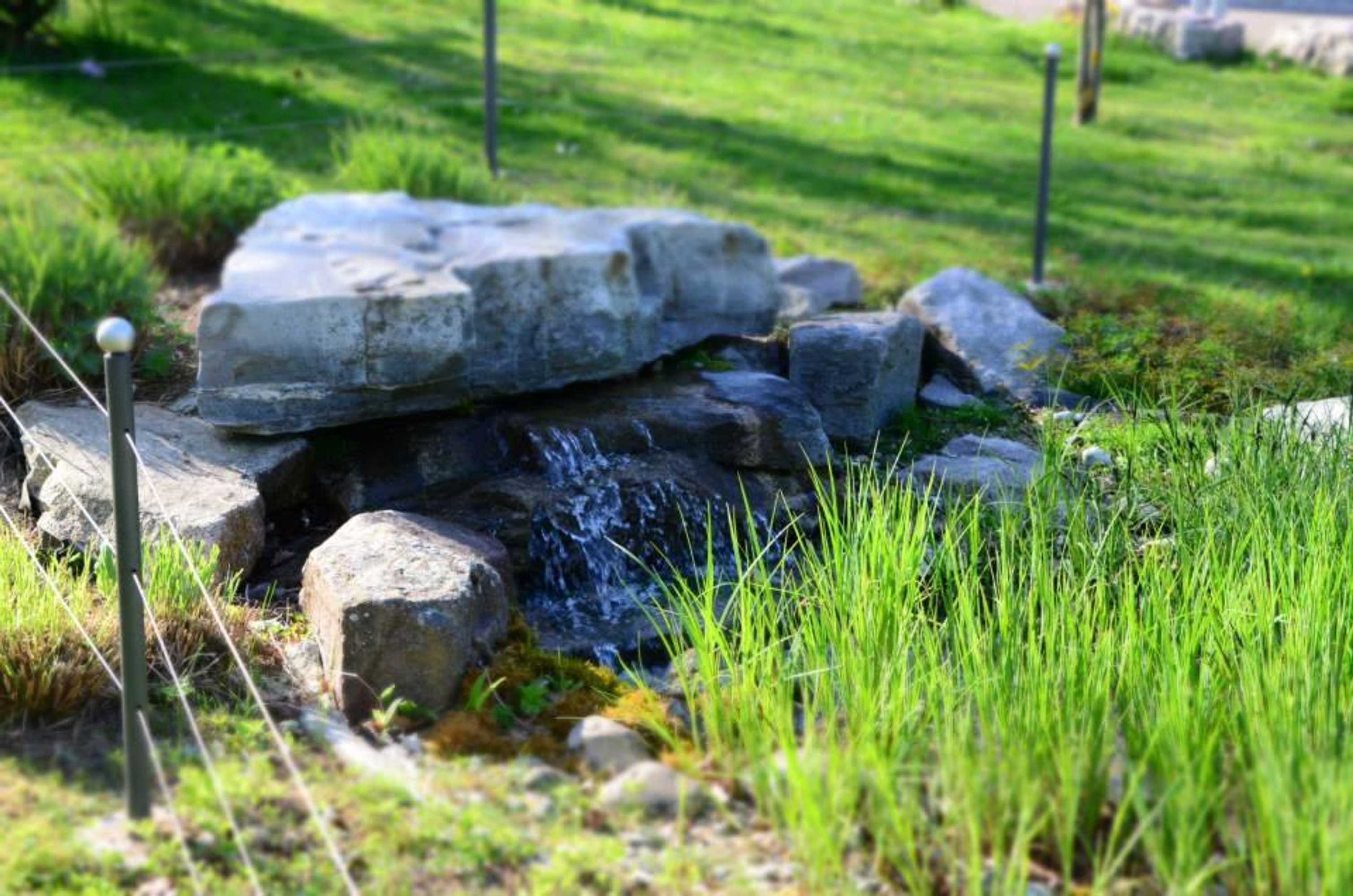 Gift card for Bad Schauenburg