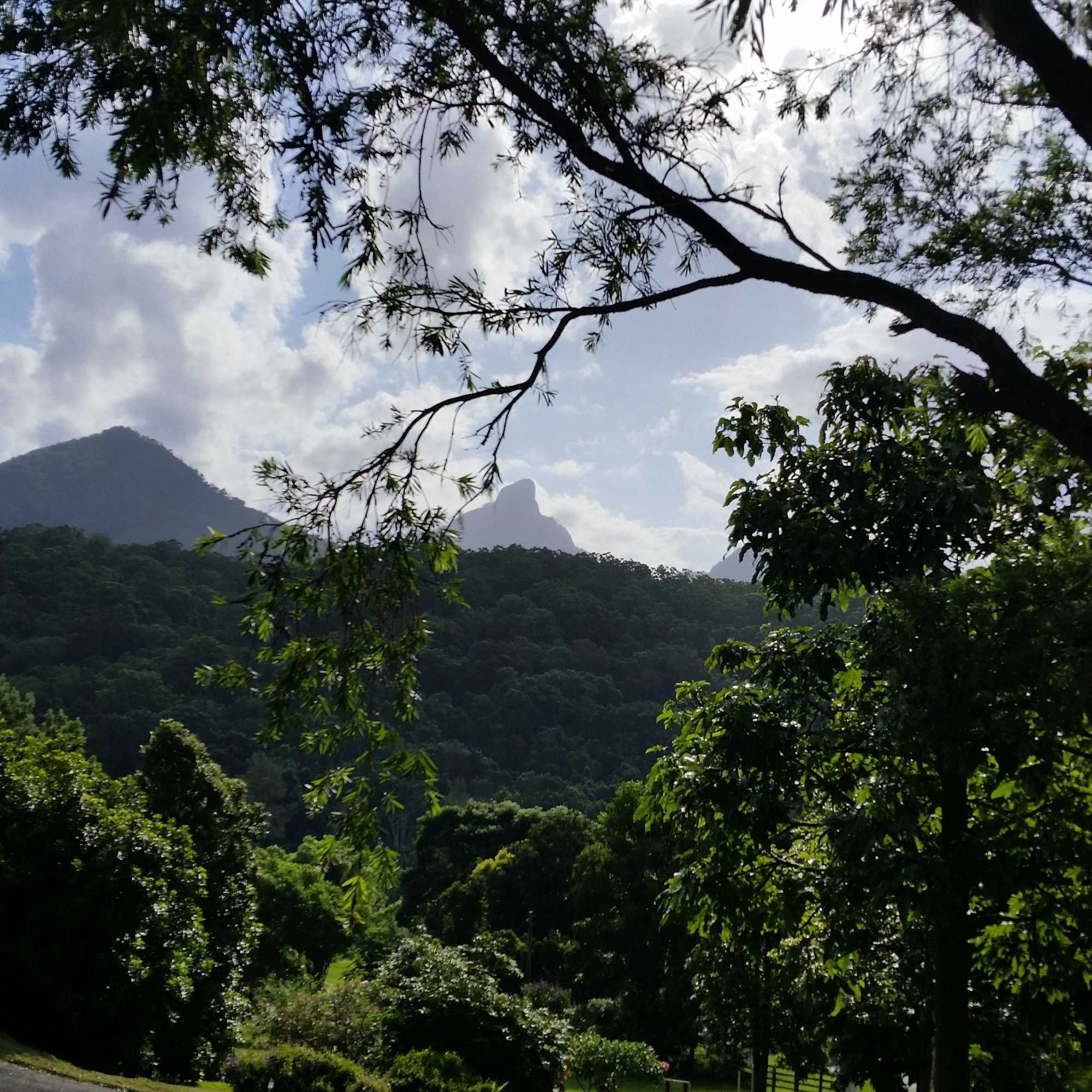 Gift card for A View of Mt Warning B&b Gift card for A View of Mt Warning B&b