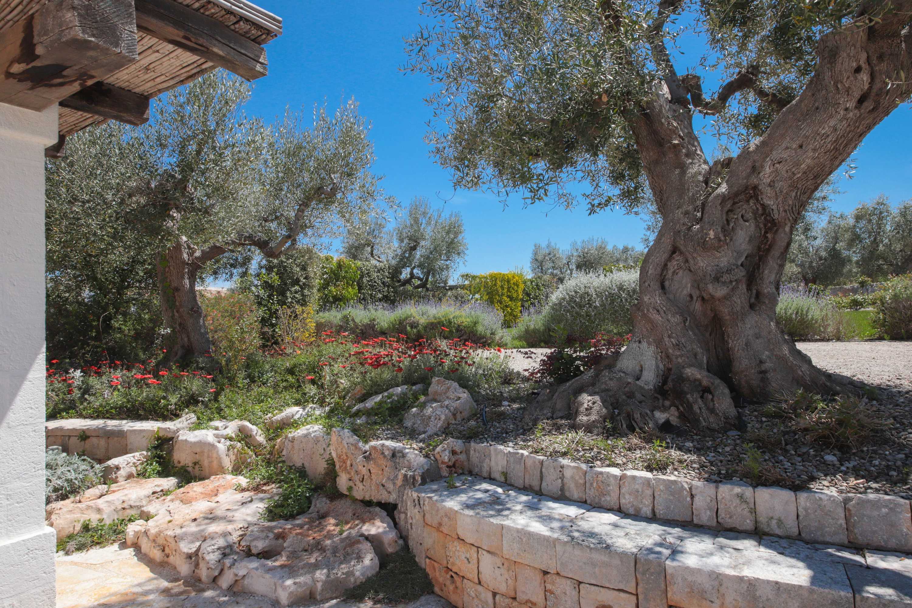 Gift card for TD Trulli di Montaltino With Stunning Huge Pool Gift card for TD Trulli di Montaltino With Stunning Huge Pool