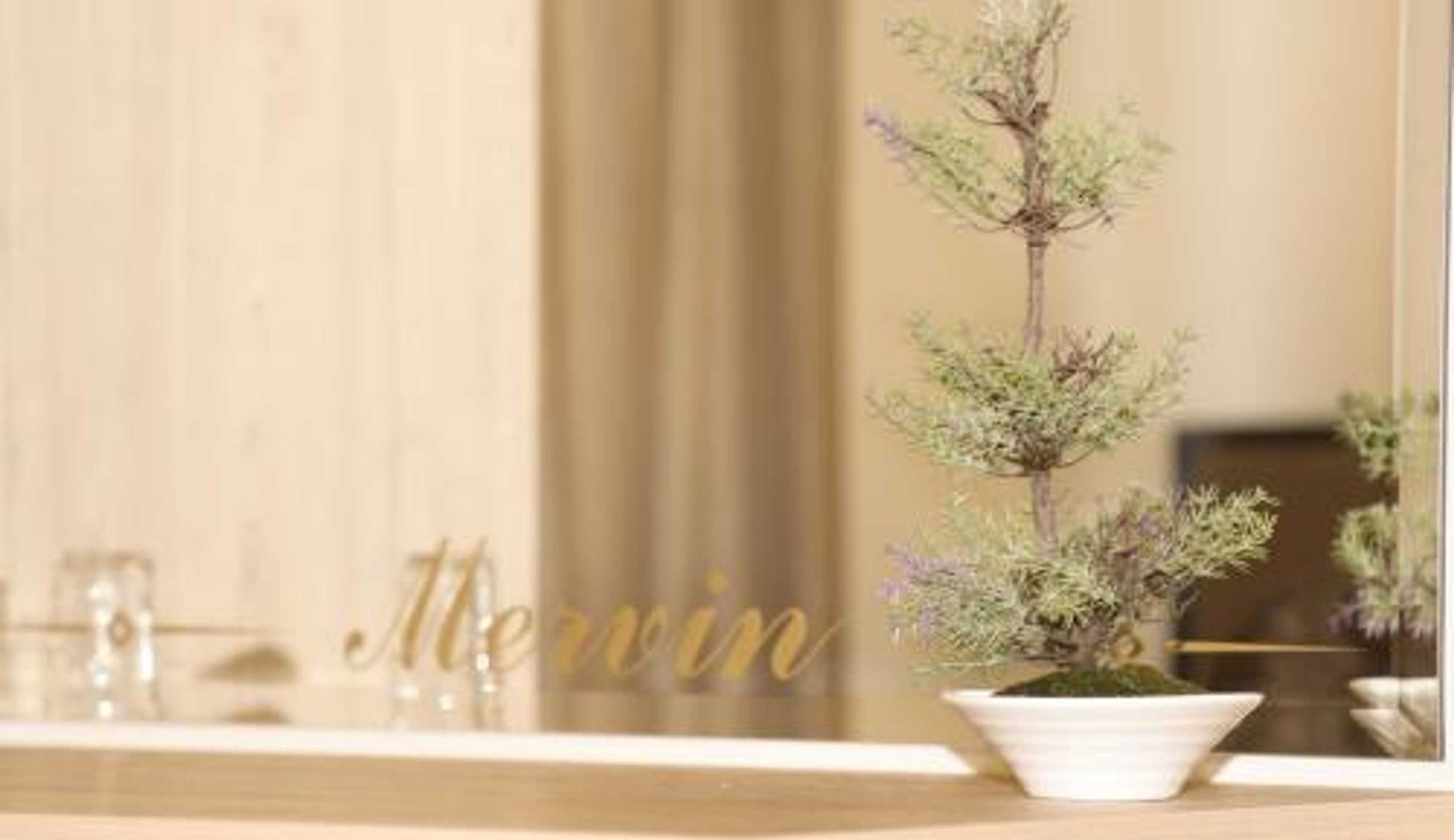 Gift card for Mervin Hotel Gift card for Mervin Hotel
