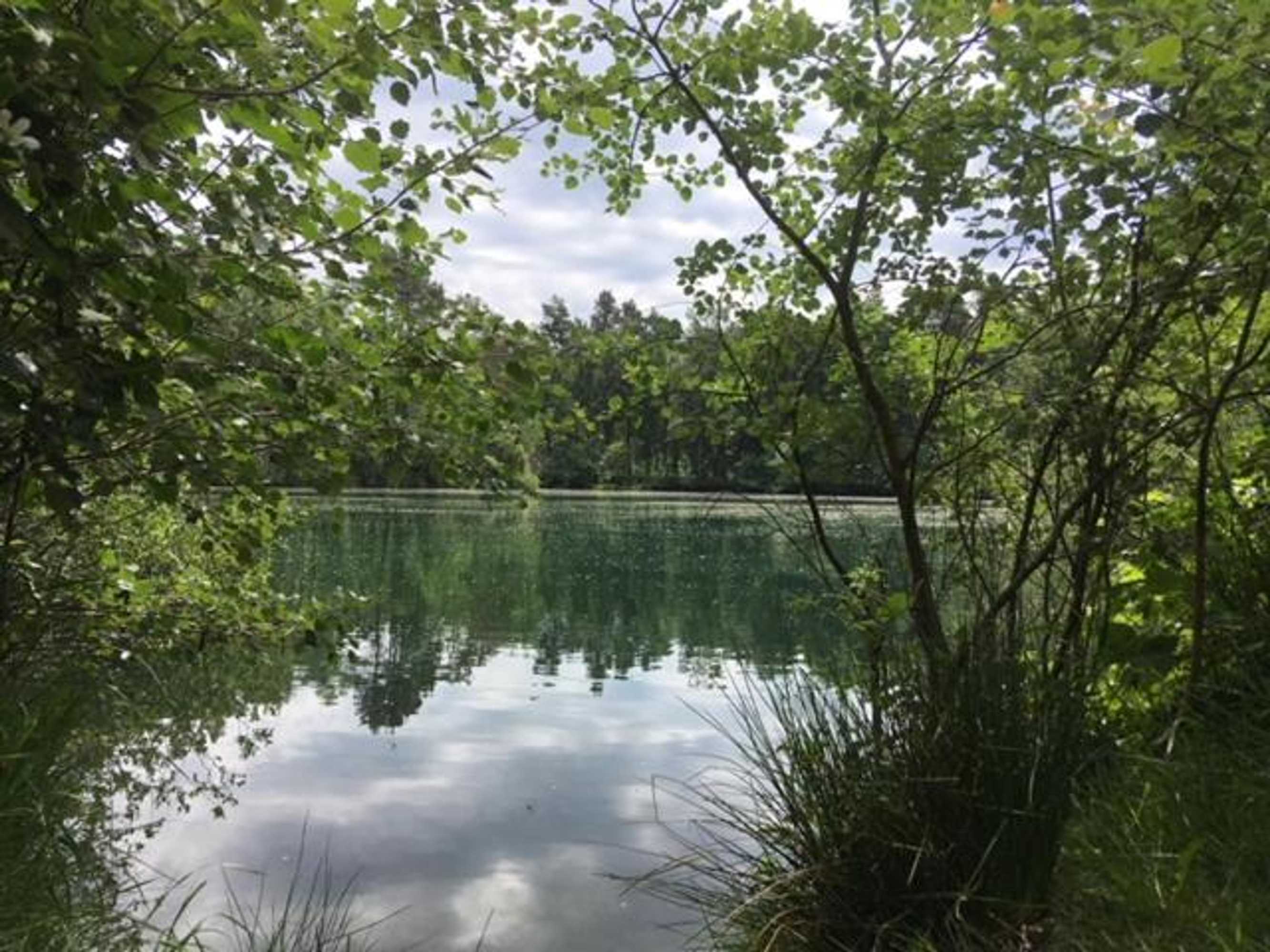 Gift card for Auxiliumwellness Get Back to Serenity