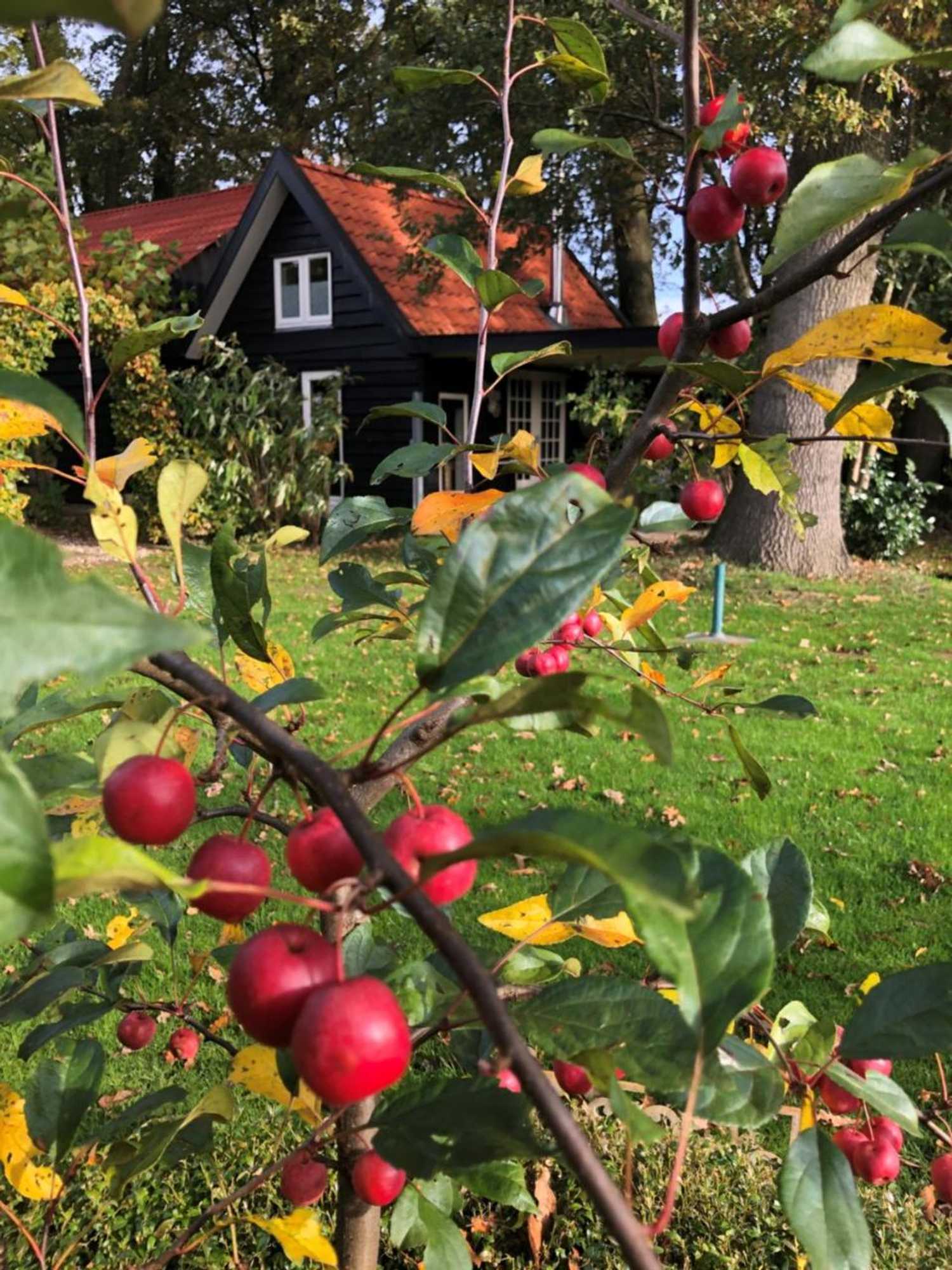 Gift card for B&b de Tuinfluiter