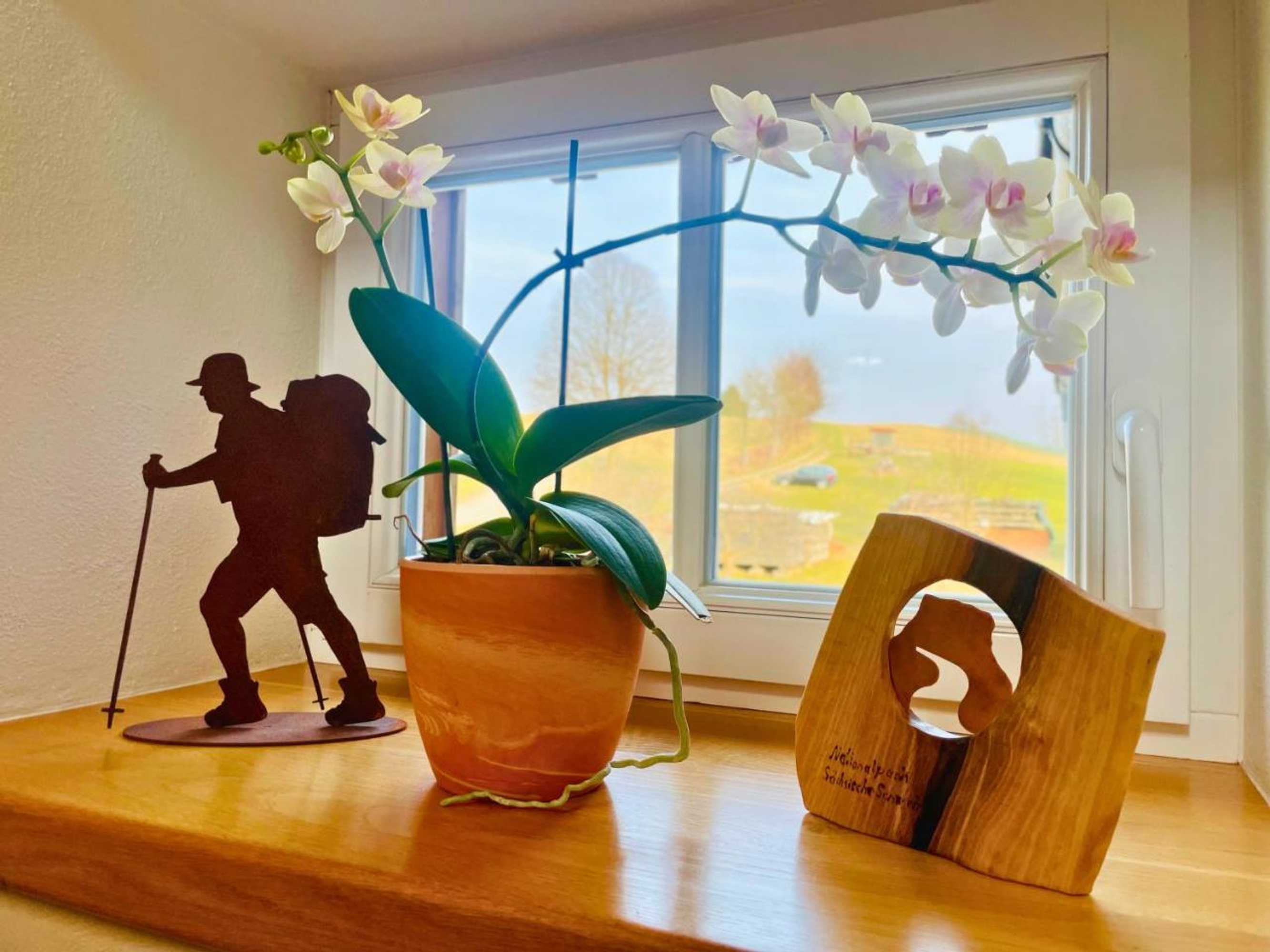 Gift card for Ferienhaus Winterbergblick, Sächsische Schweiz