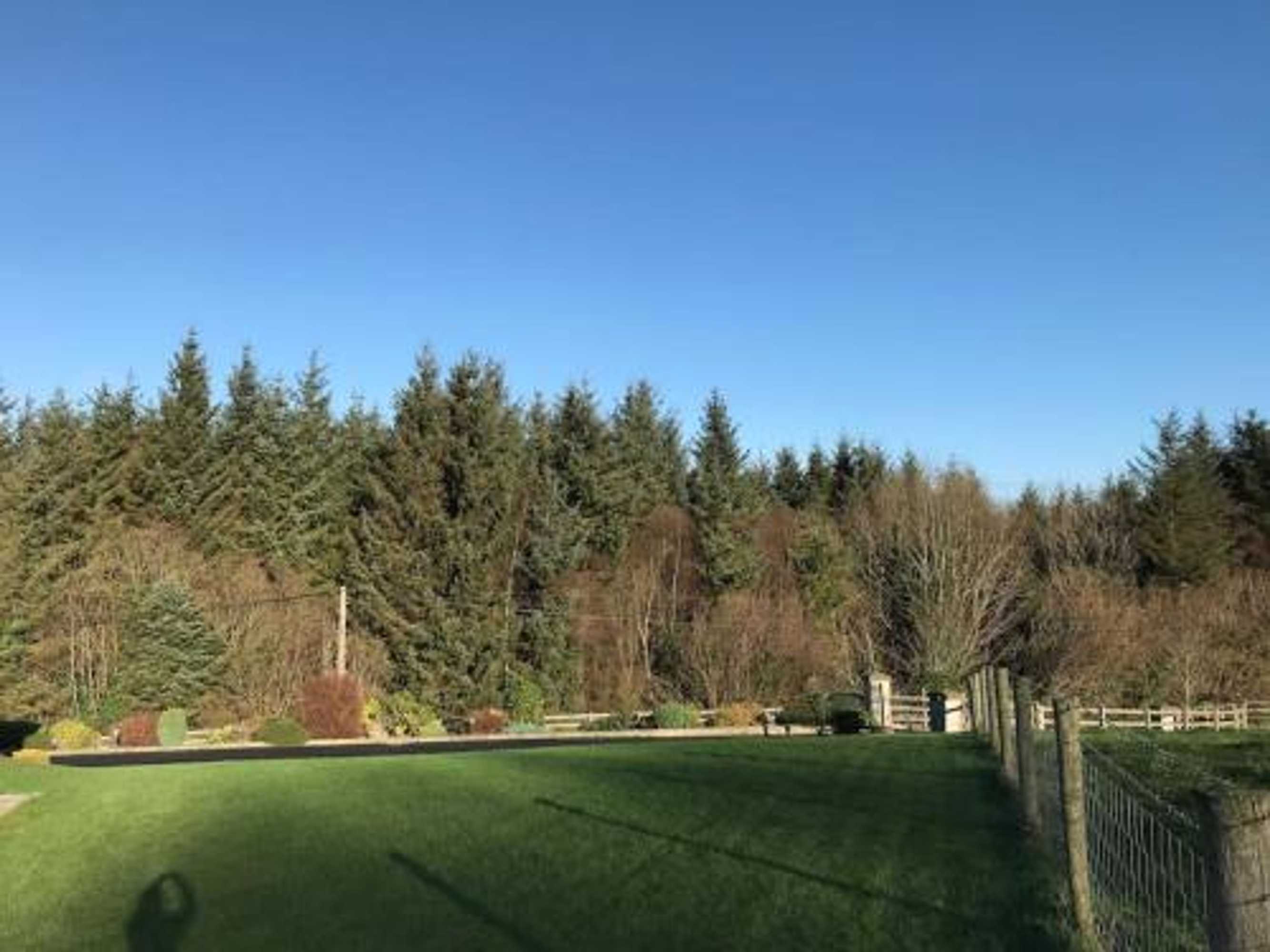 Gift card for Forest View - Castlewellan, County Down Gift card for Forest View - Castlewellan, County Down