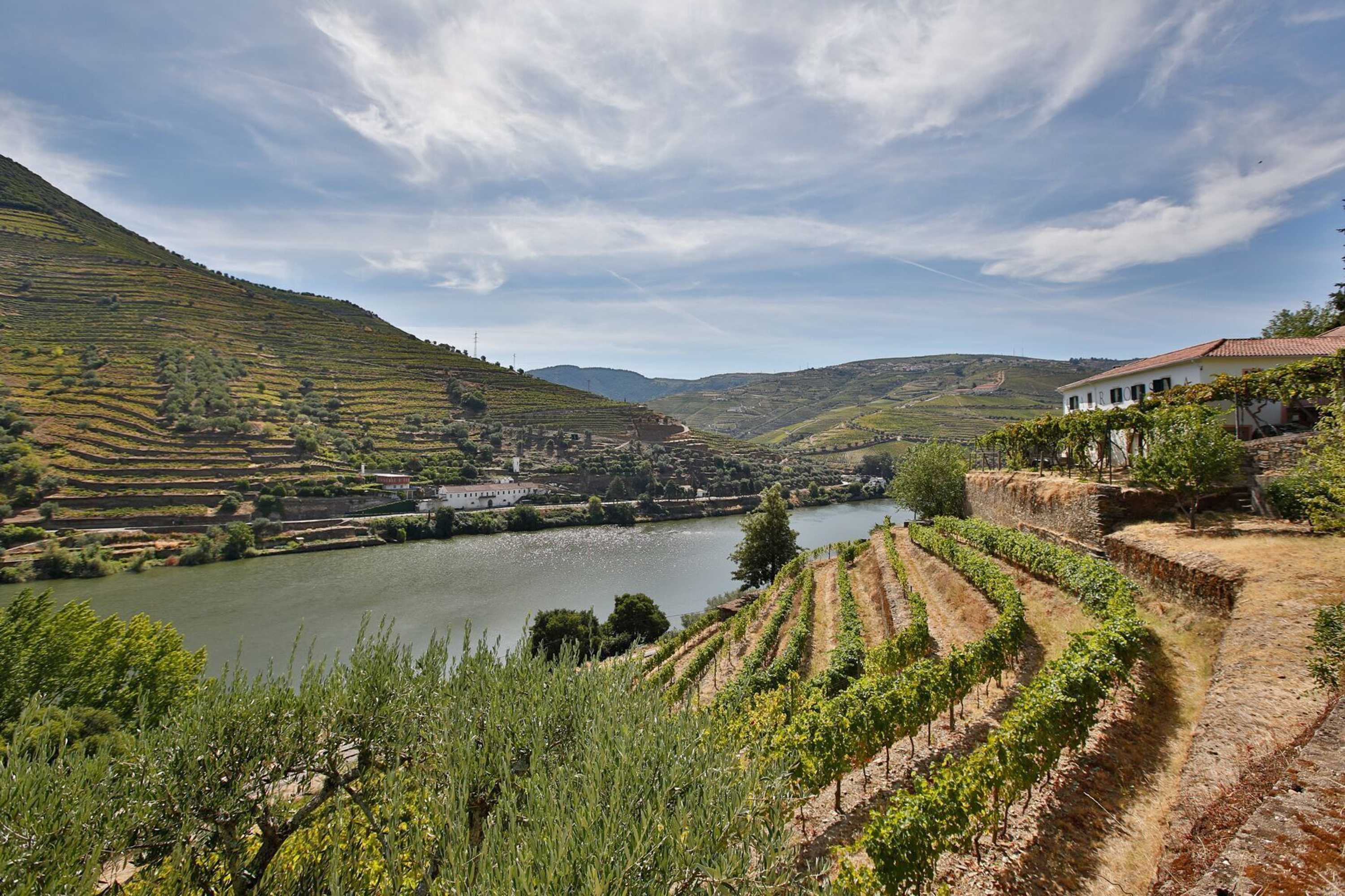 Gift card for Quinta de la Rosa Gift card for Quinta de la Rosa
