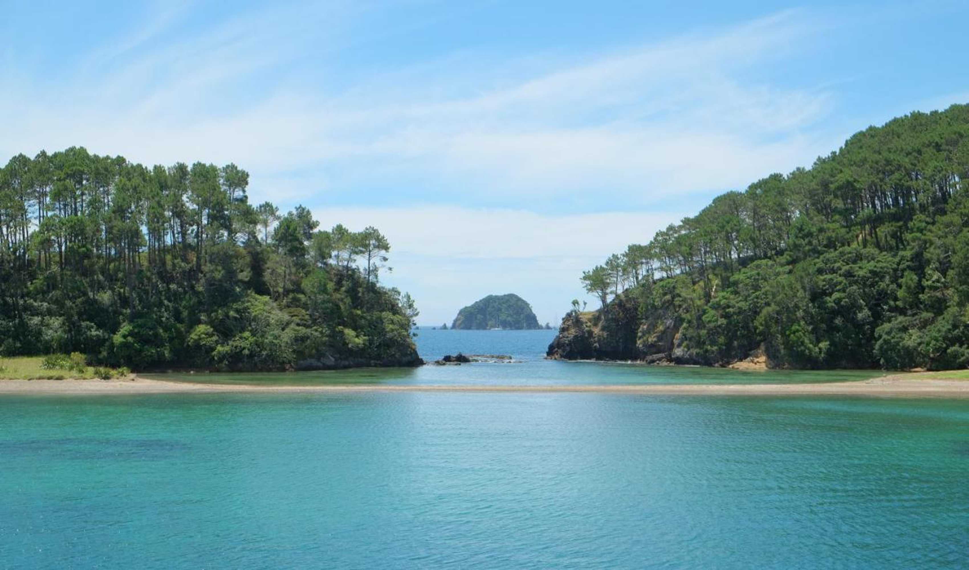 Gift card for Rural Palms