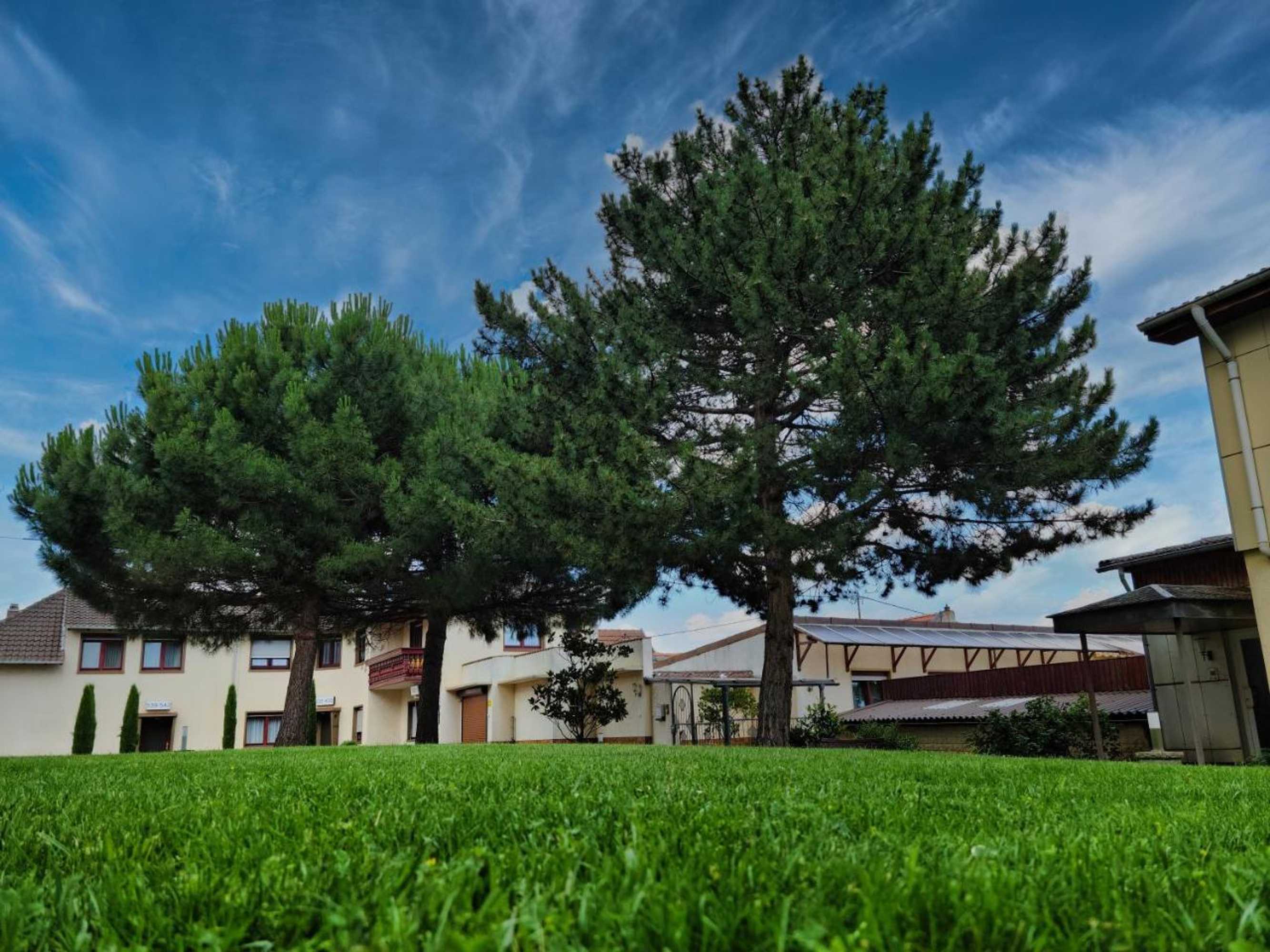 Gift card for Hotel Tenner