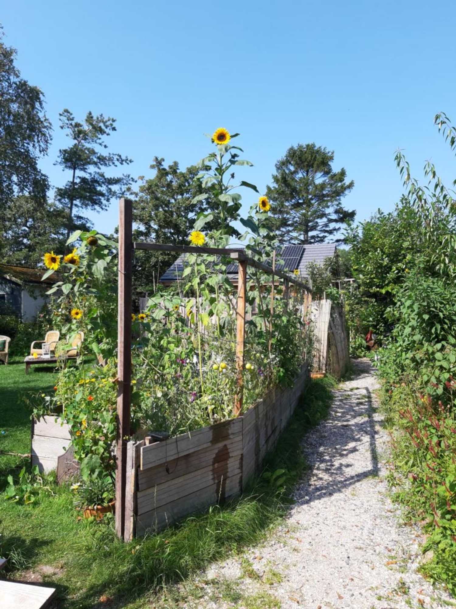 Gift card for Ecolodge de Parel Schoorl