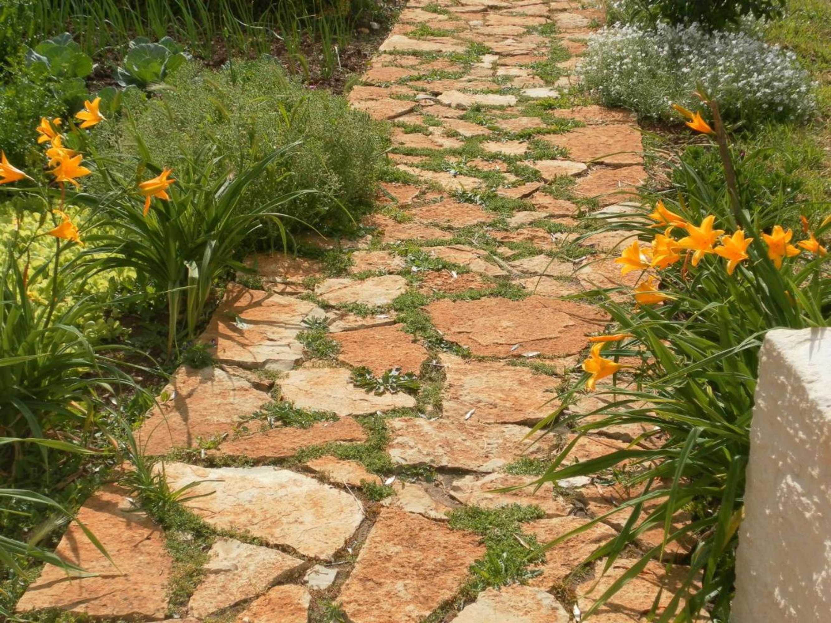 Gift card for Retiro Da Avó Lídia