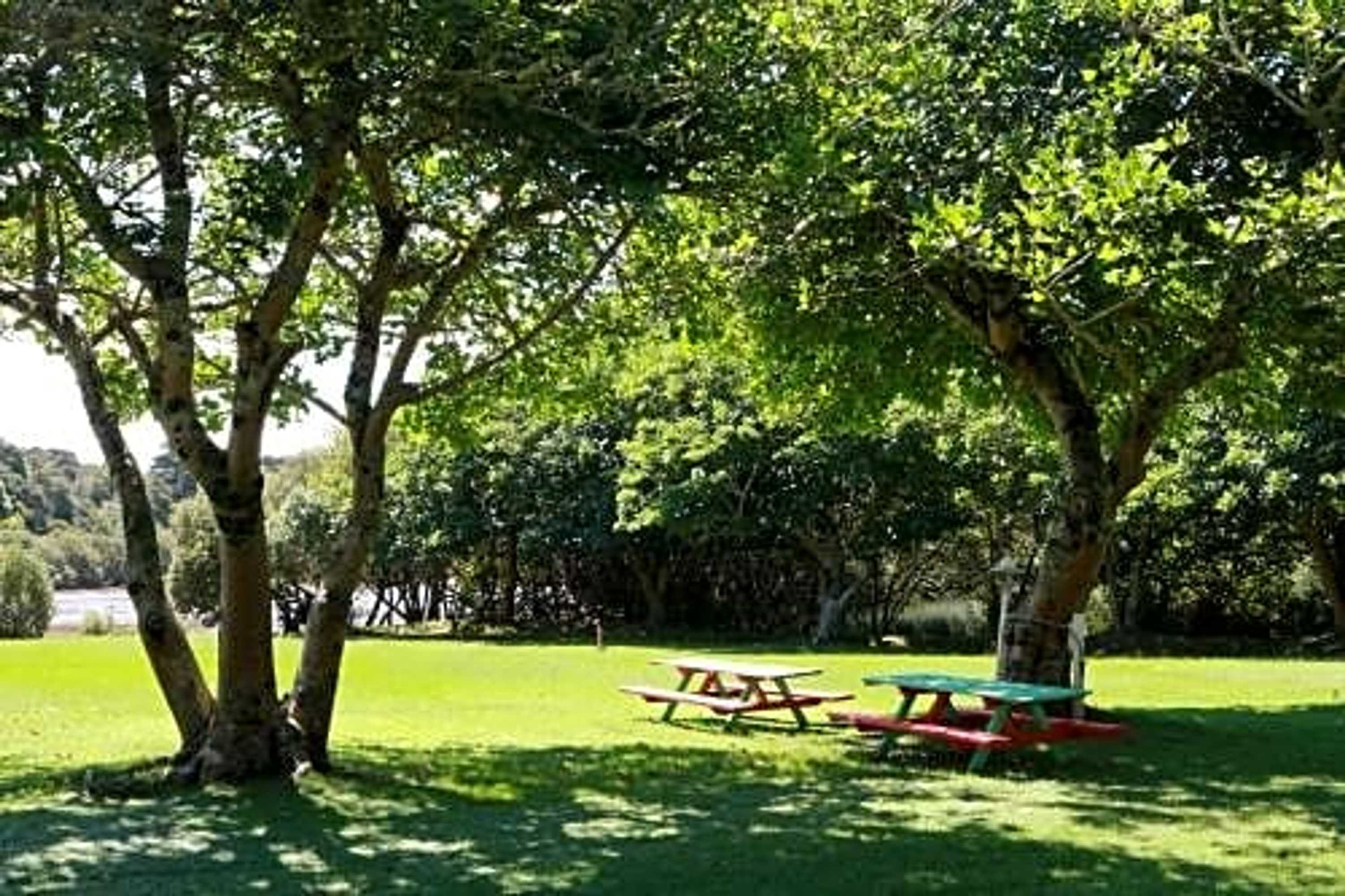 Gift card for Haruru Falls Motel & Conference Centre Gift card for Haruru Falls Motel & Conference Centre