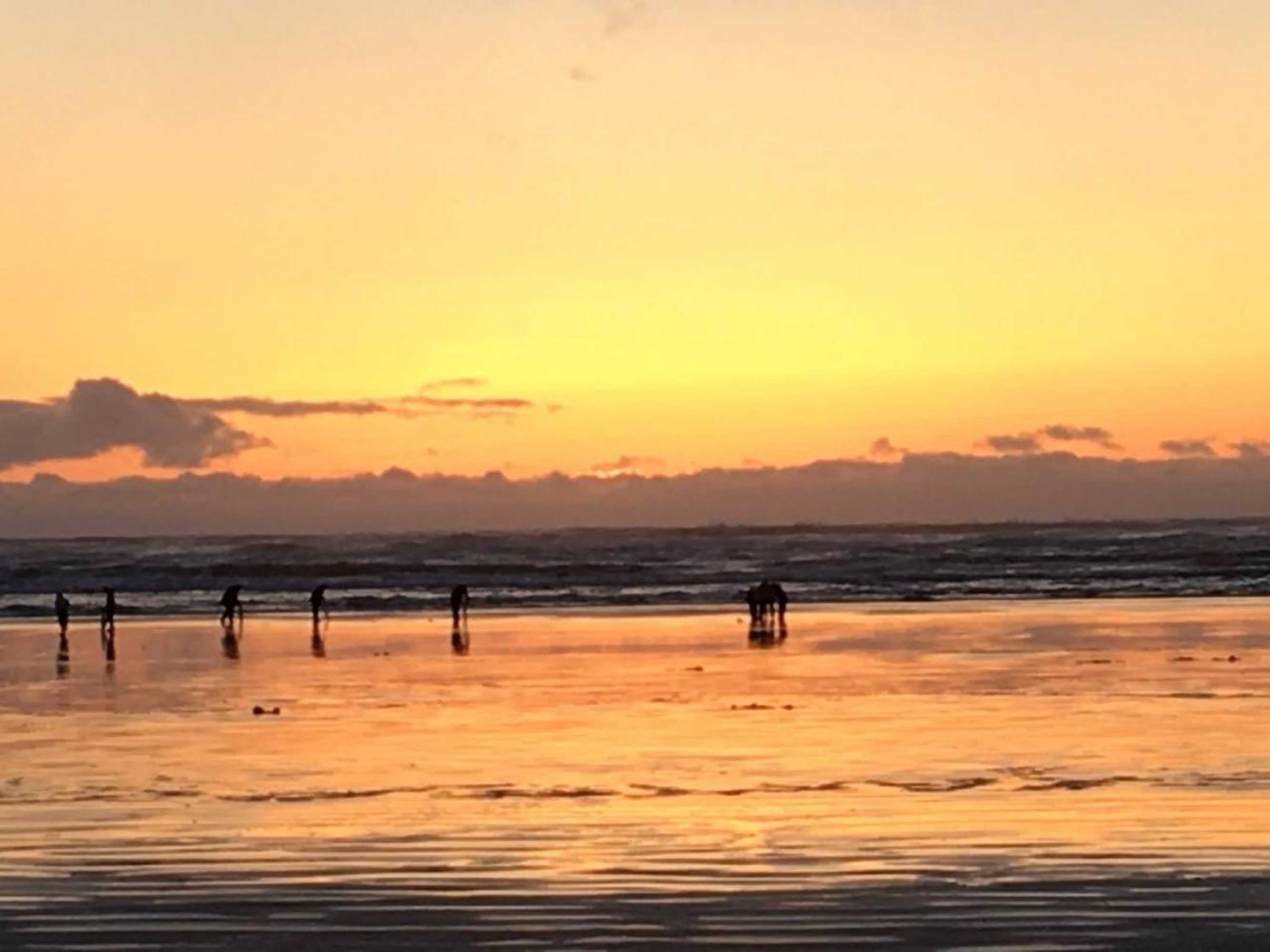 Gift card for The Lowtide Motel