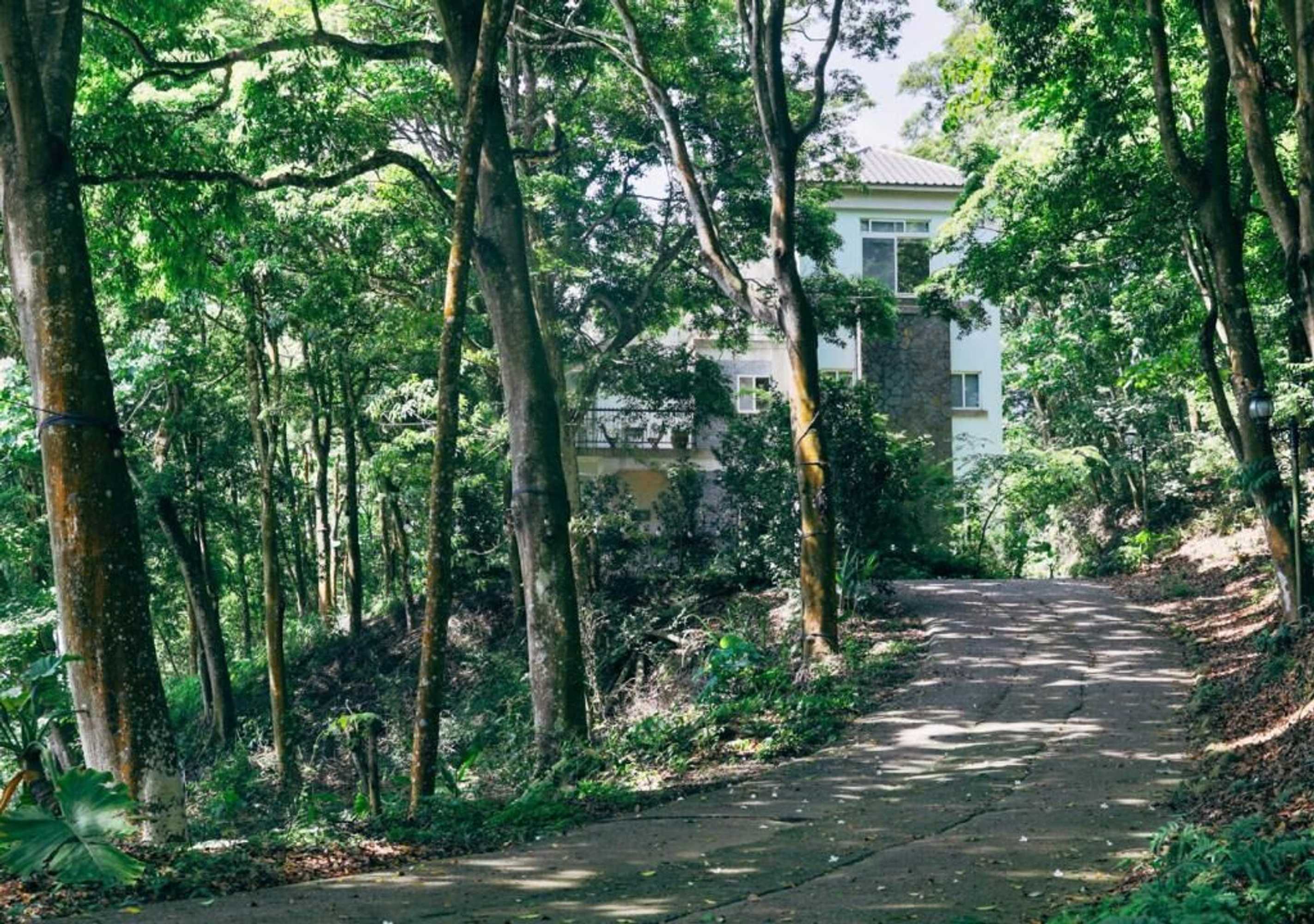 Gift card for Lvbolang by Reindeer, Sanyi