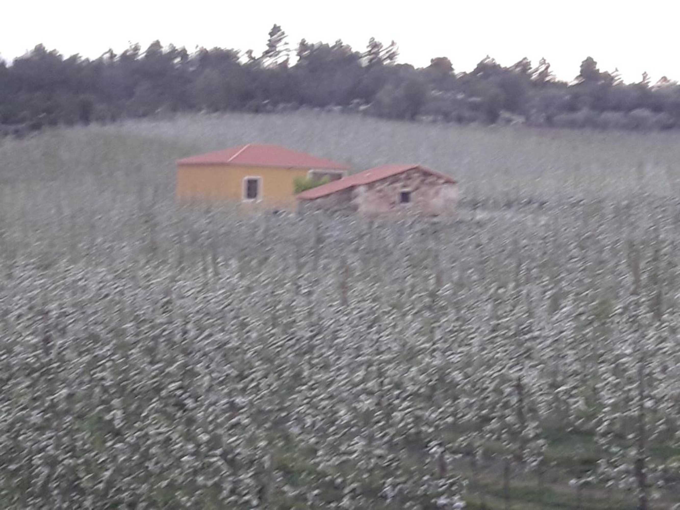 Gift card for Casa do Feitor - Douro - Quinta da Cabrida Gift card for Casa do Feitor - Douro - Quinta da Cabrida