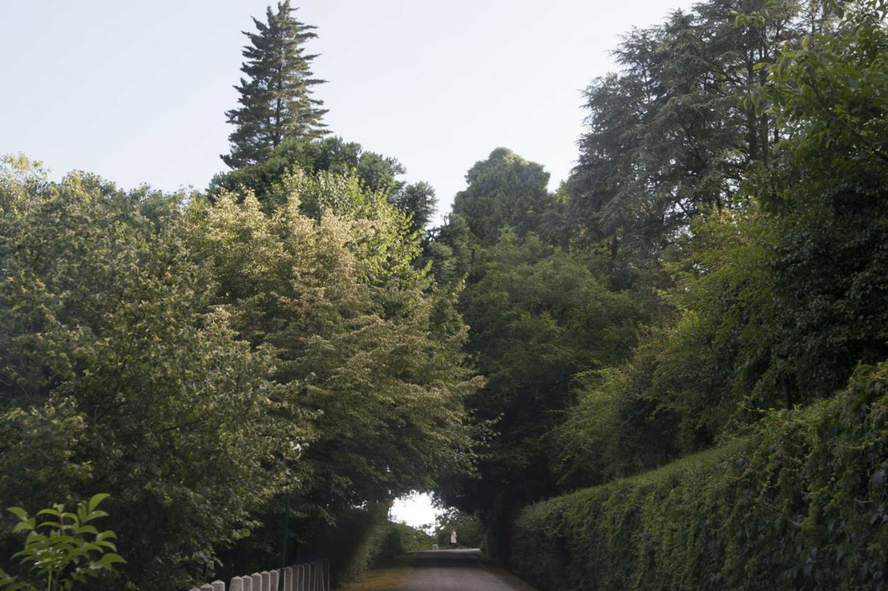 Gift card for Quinta de Valverde