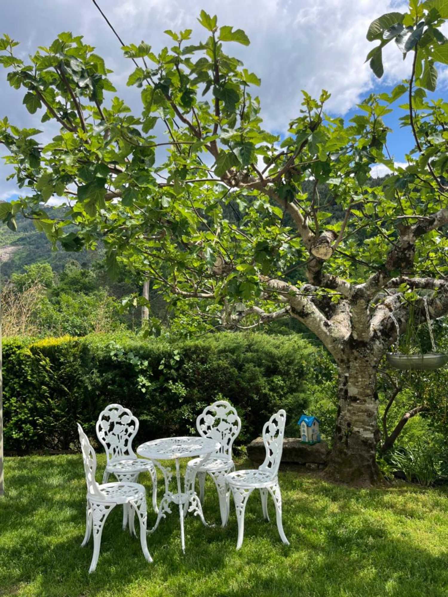 Gift card for Casa da Ribeira do Círio