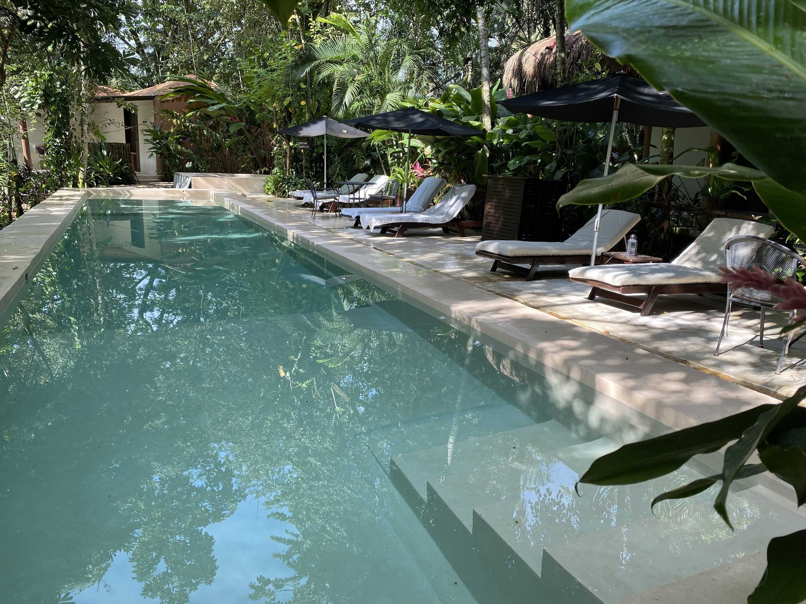 Gift card for Piedra de Agua Hotel Boutique Palenque Gift card for Piedra de Agua Hotel Boutique Palenque