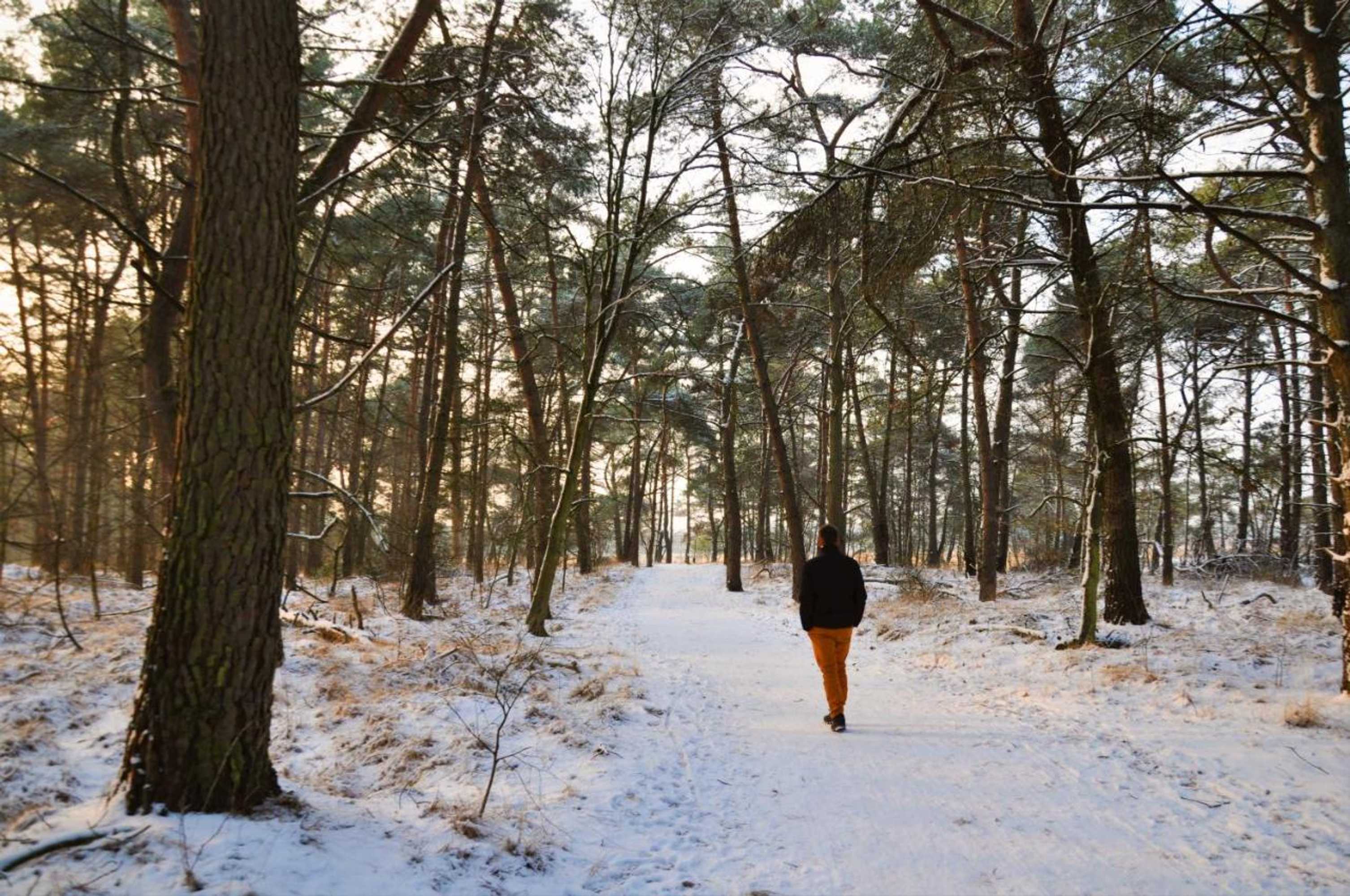 Gift card for Hotel Jerom