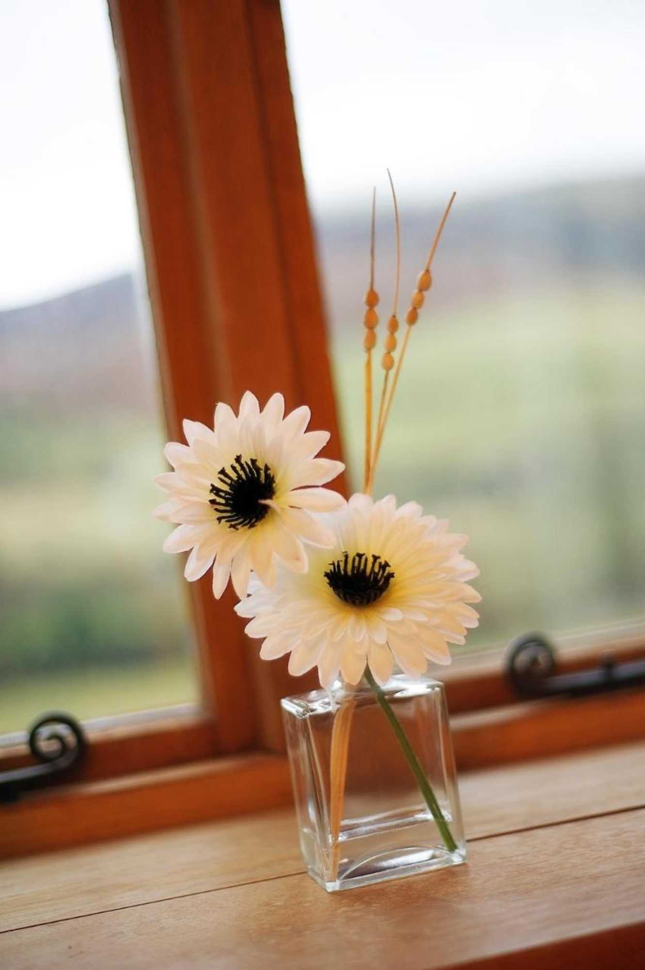 Gift card for Celyn Farm Bed & Breakfast Gift card for Celyn Farm Bed & Breakfast