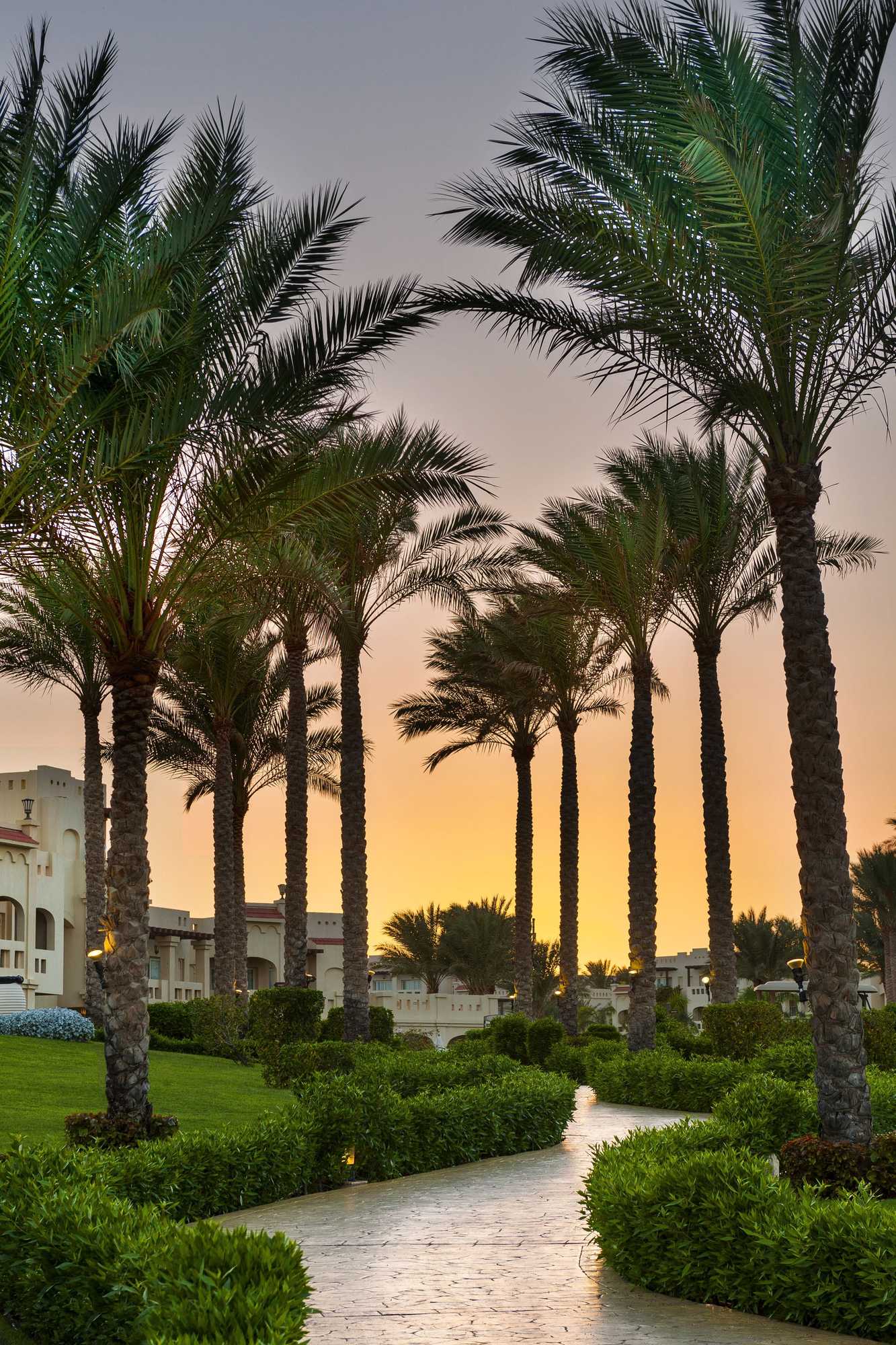 Gift card for Rixos Sharm El Sheikh Adults Only 18+ Gift card for Rixos Sharm El Sheikh Adults Only 18+