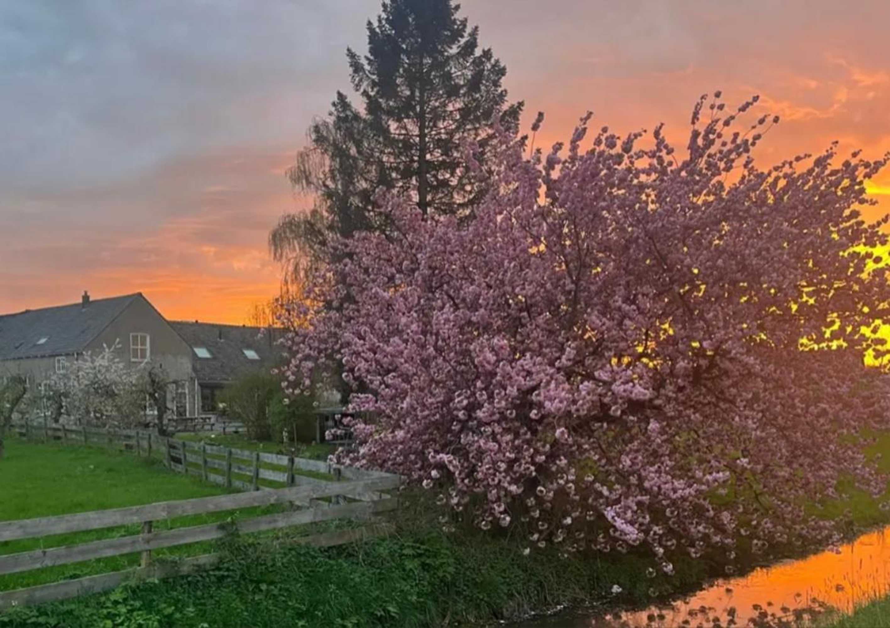 Gift card for Bed & Brood De Vogelpoel