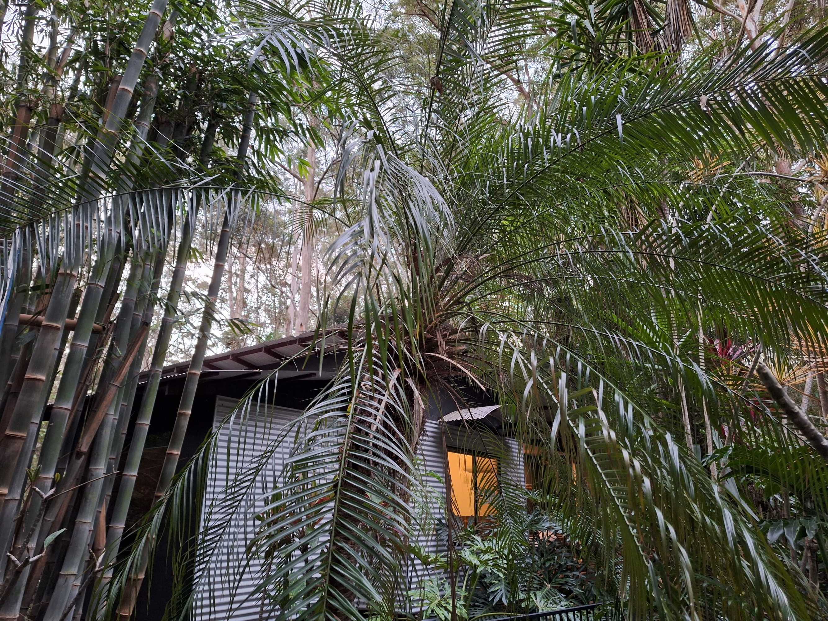 Gift card for Alaya Ascend