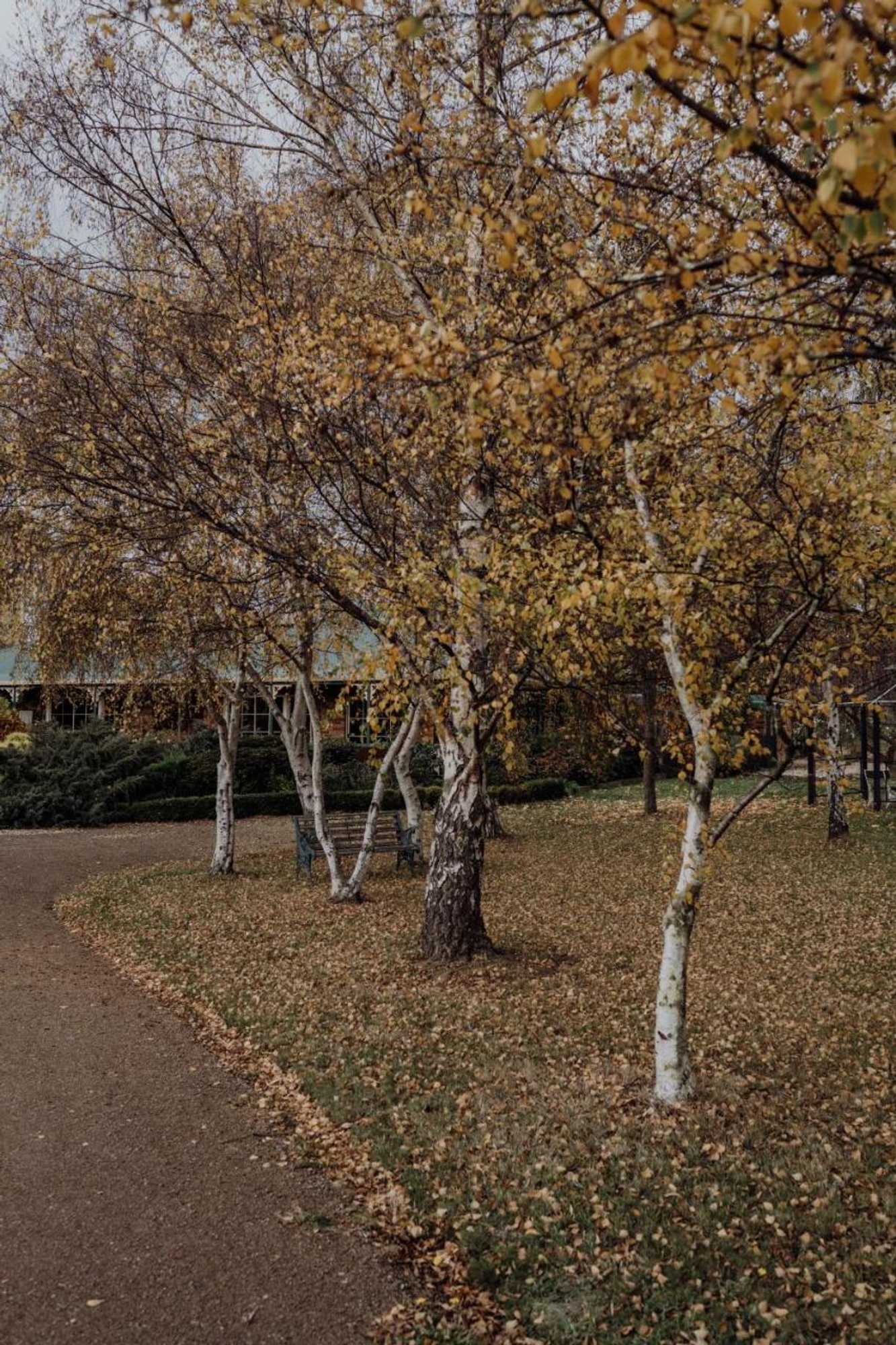 Gift card for Green Gables B&b