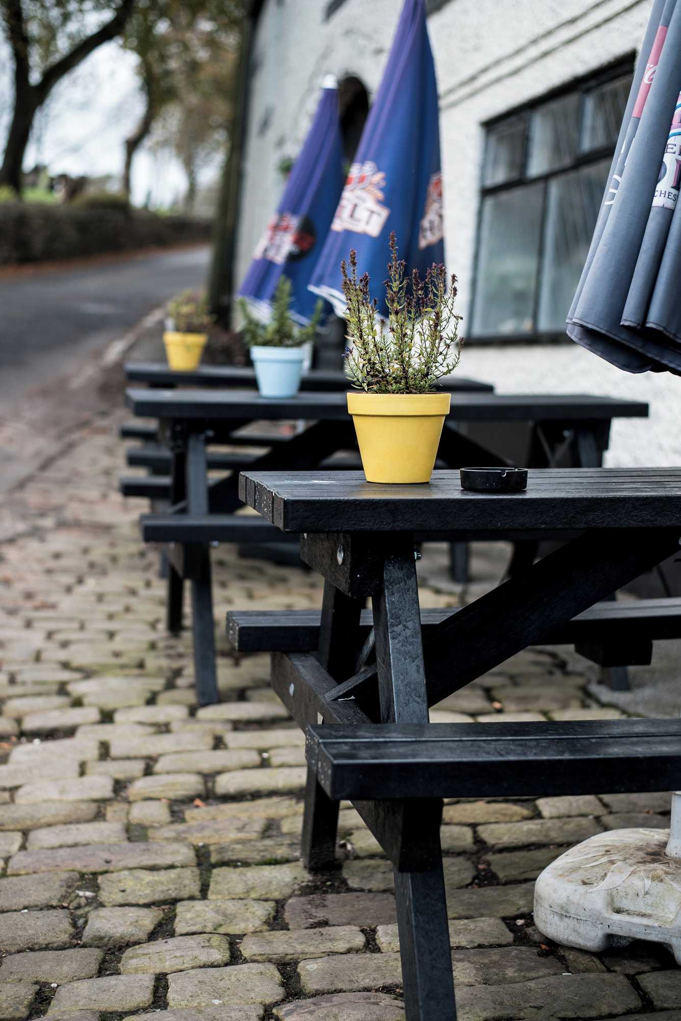 Gift card for Black Dog Inn