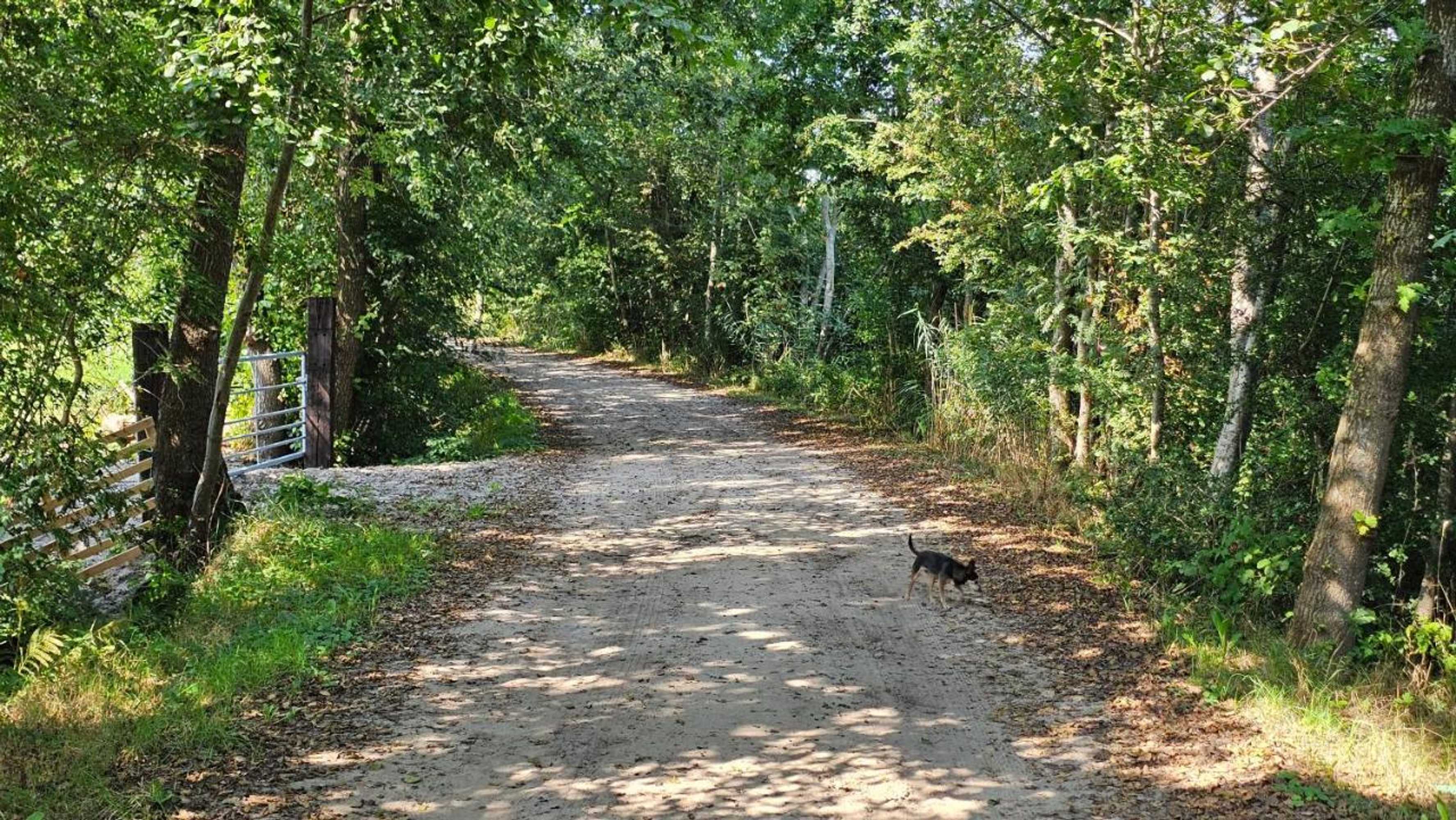 Gift card for Vakantiehuis 