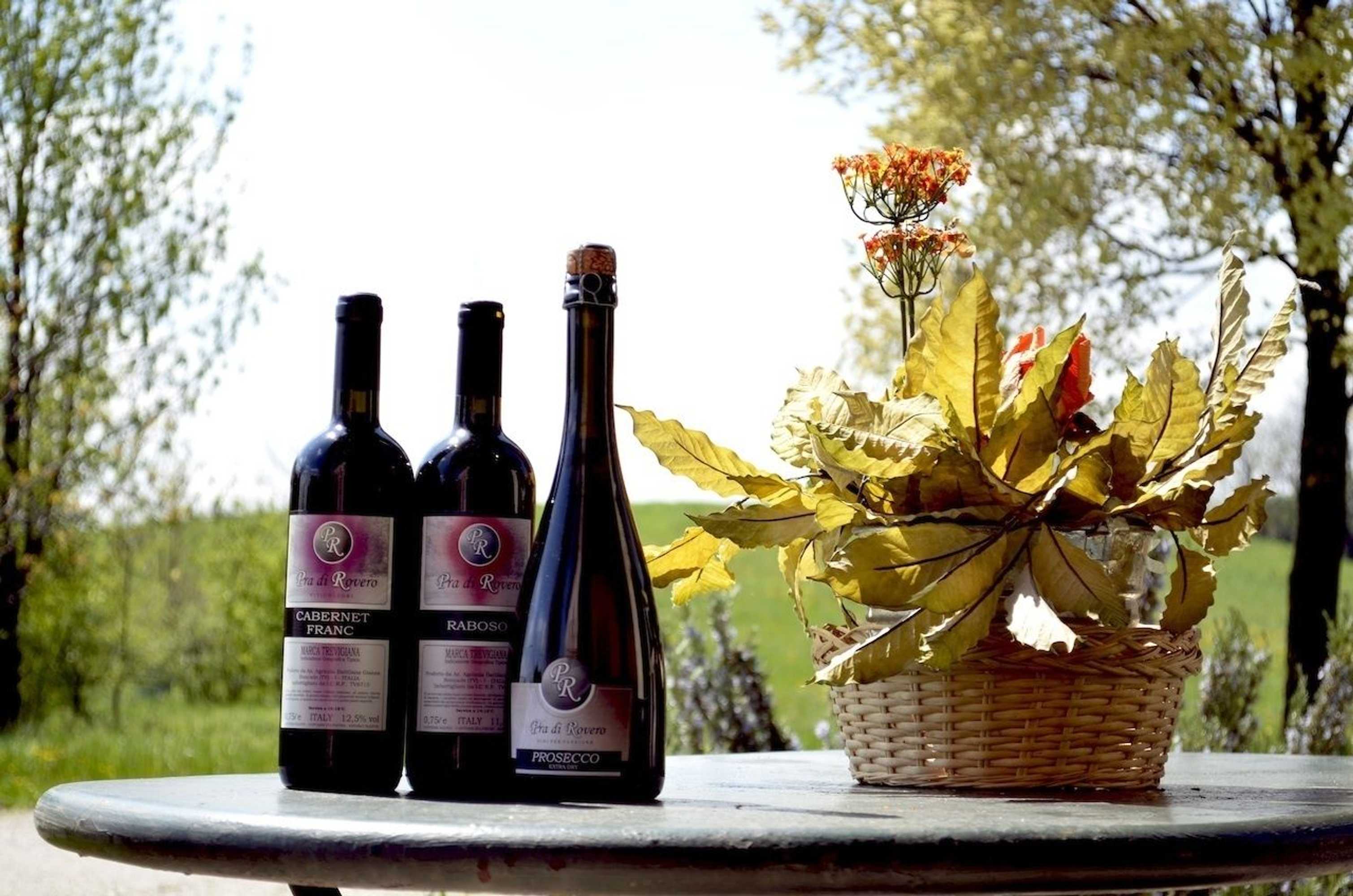 Gift card for Agriturismo Ca' Roer
