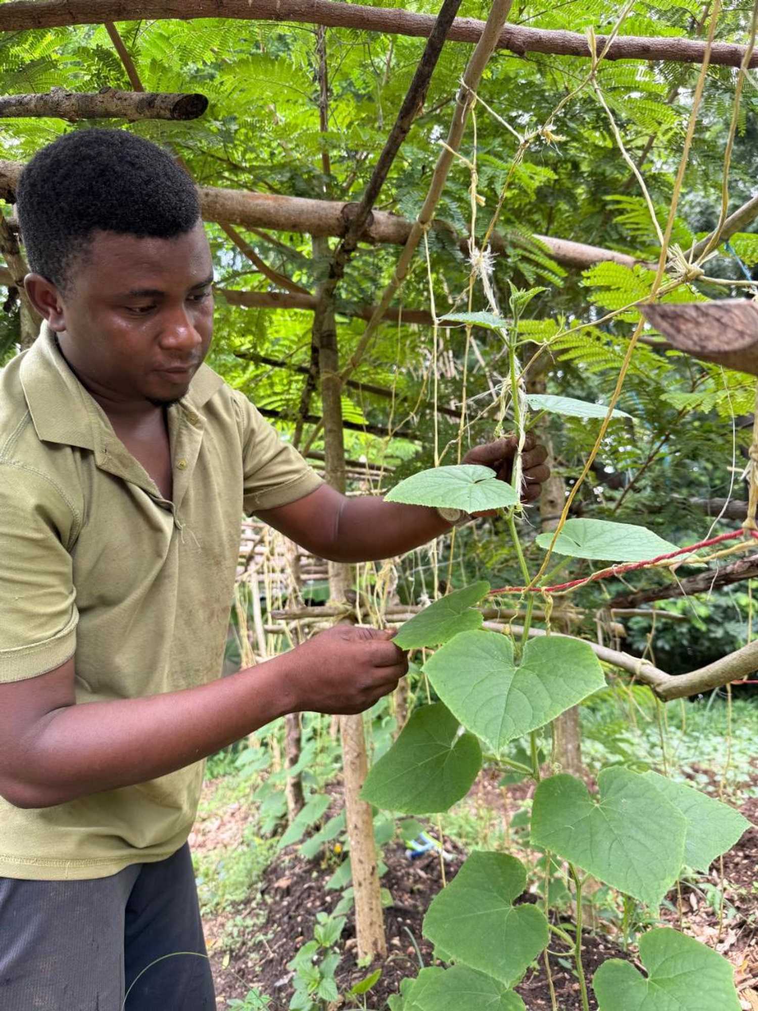 Gift card for Mbweni Ruins & Gardens