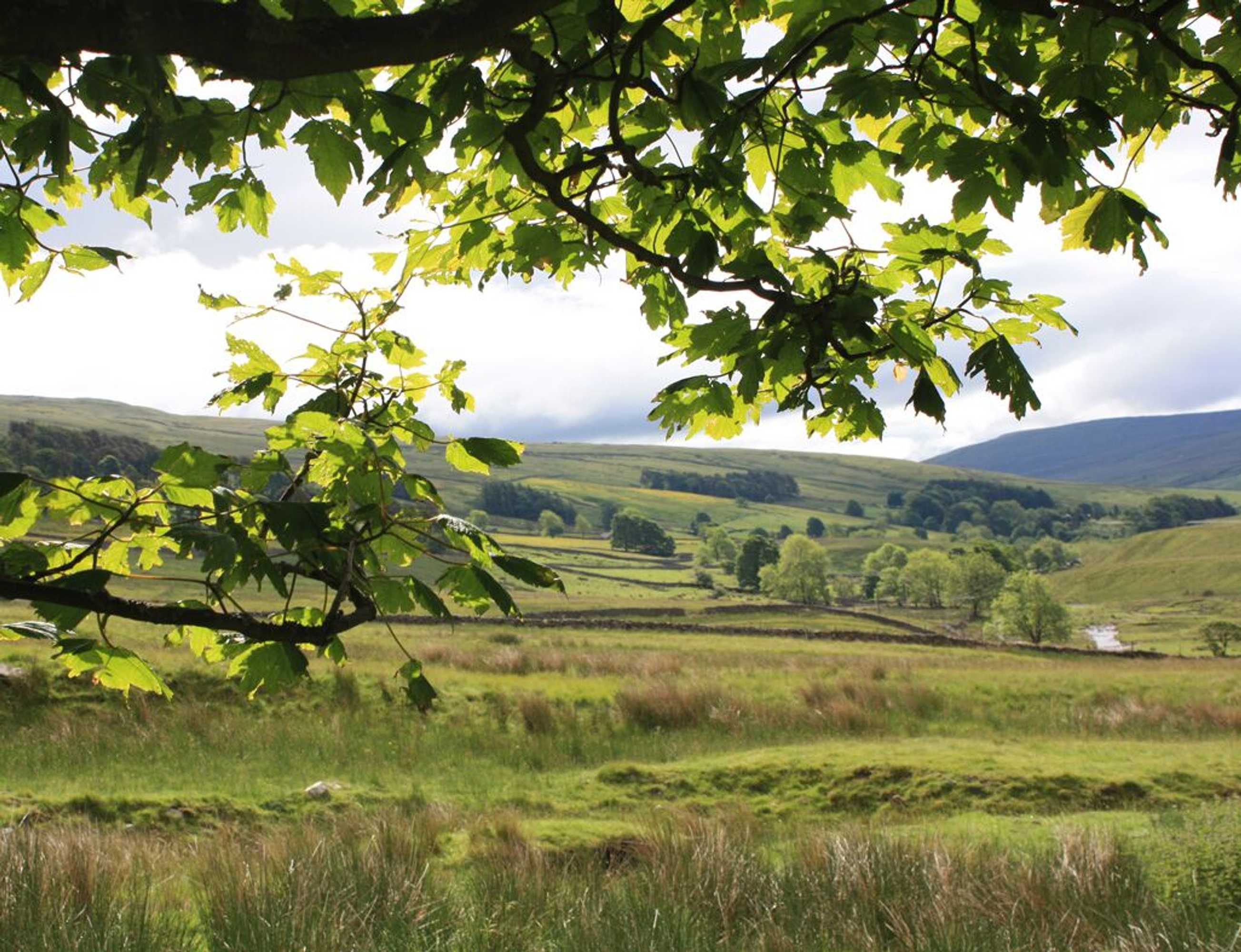 Gift card for Nethergill Haylofts