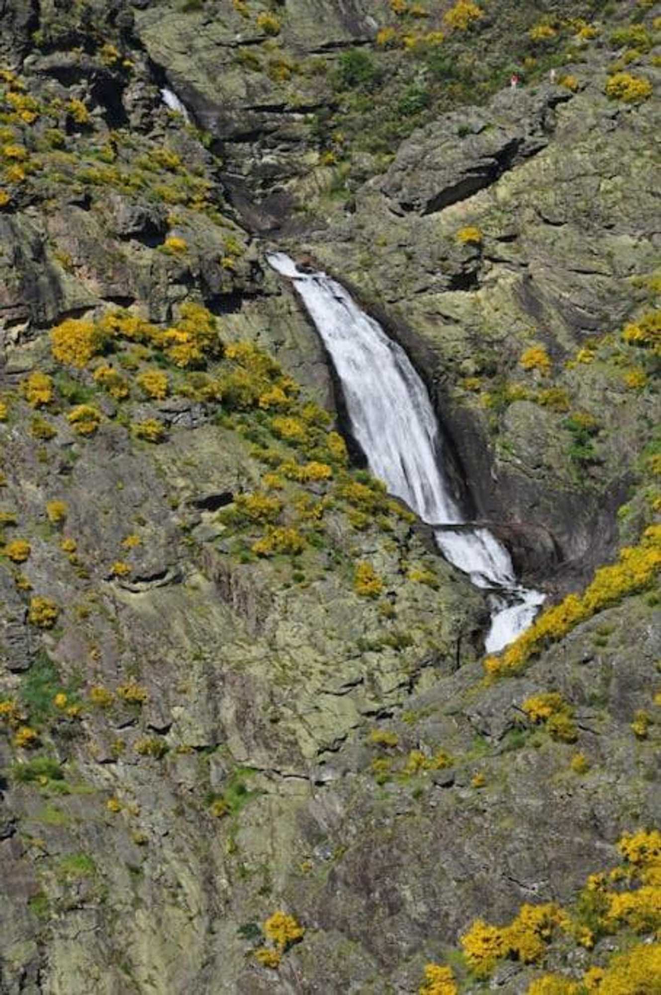 Gift card for Casa do Rio