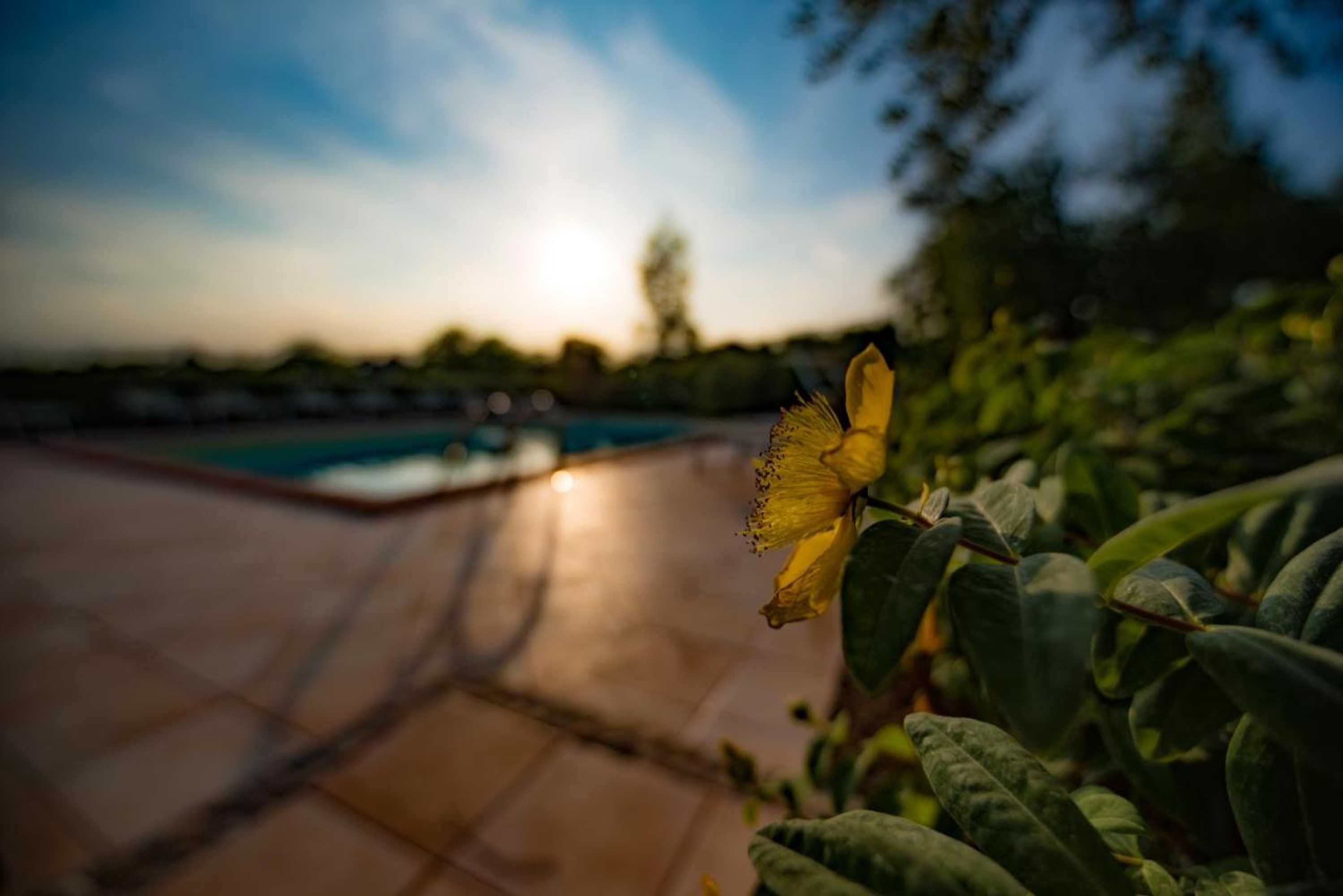 Gift card for Il Melograno Country Resort