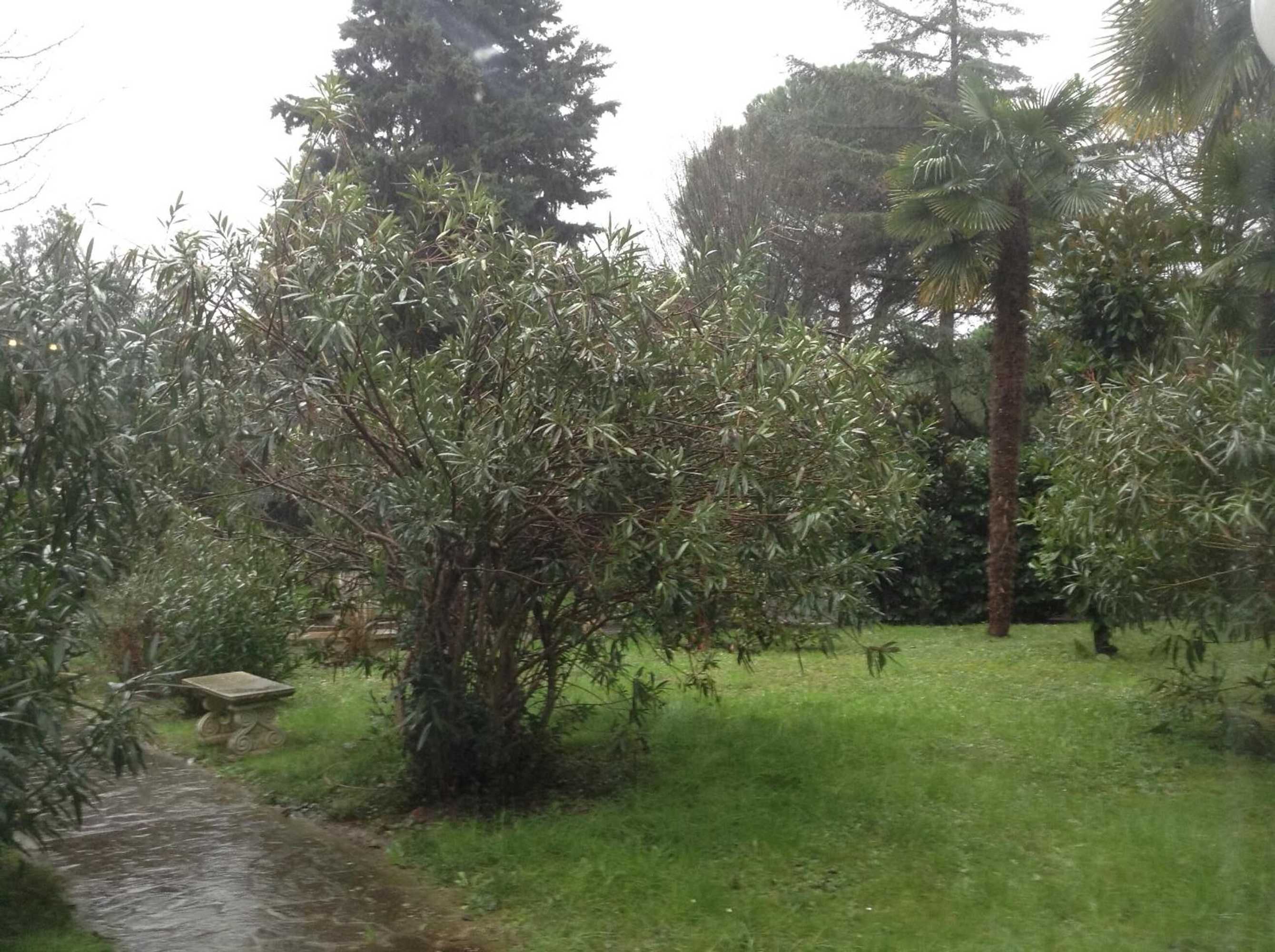 Gift card for Park Hotel