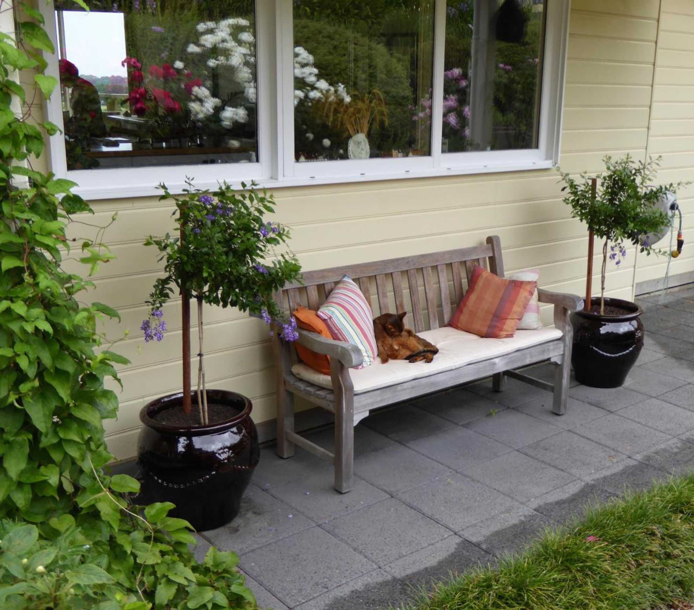 Gift card for Llarrinda Bed & Breakfast