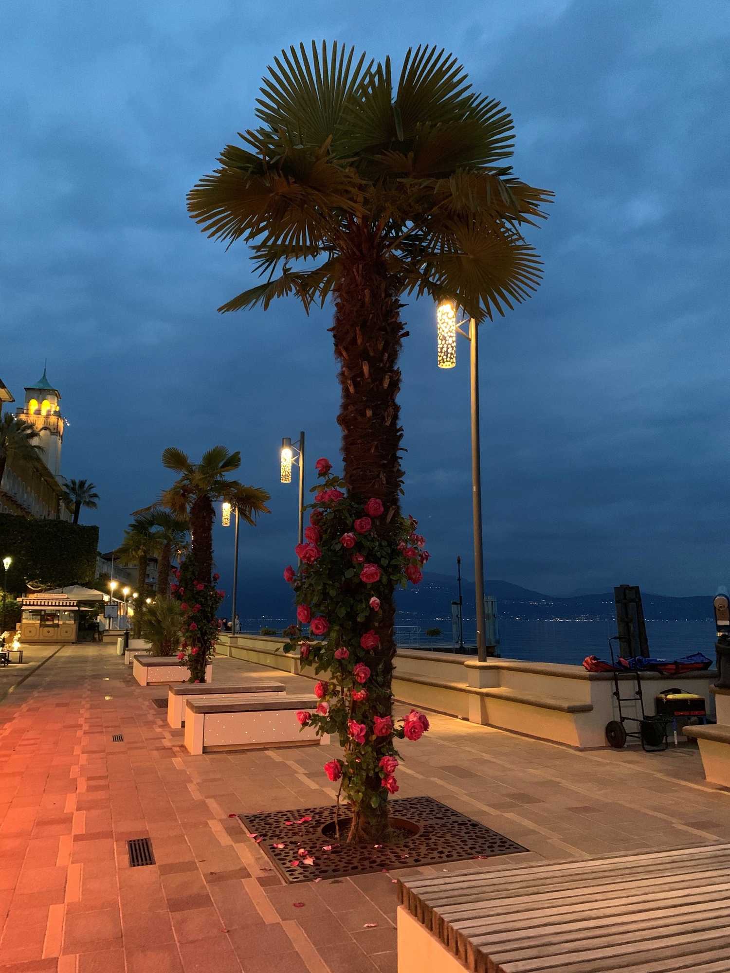 Gift card for Hotel Du Lac Gardone Riviera Gift card for Hotel Du Lac Gardone Riviera