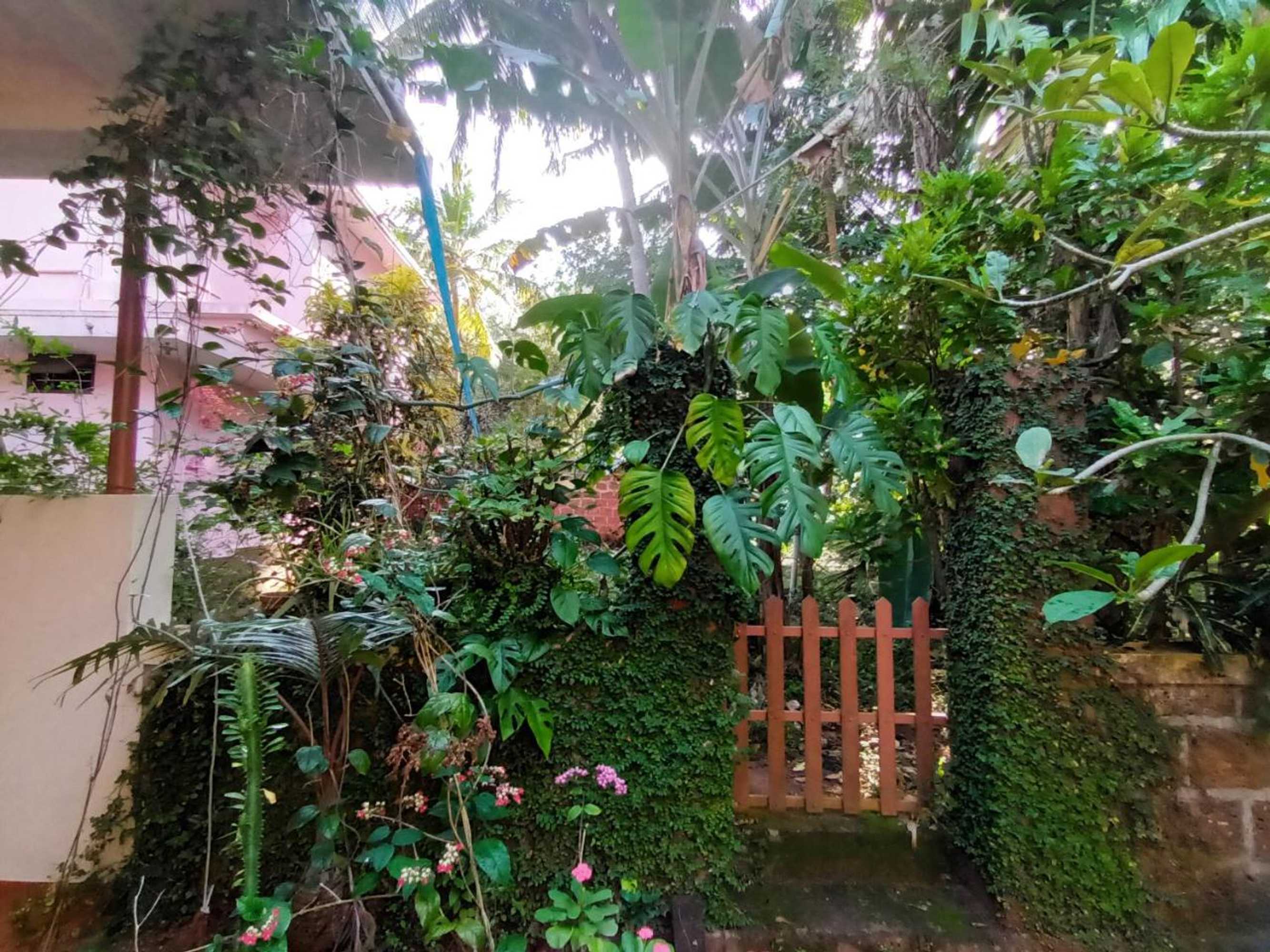 Gift card for Ivory Coaste