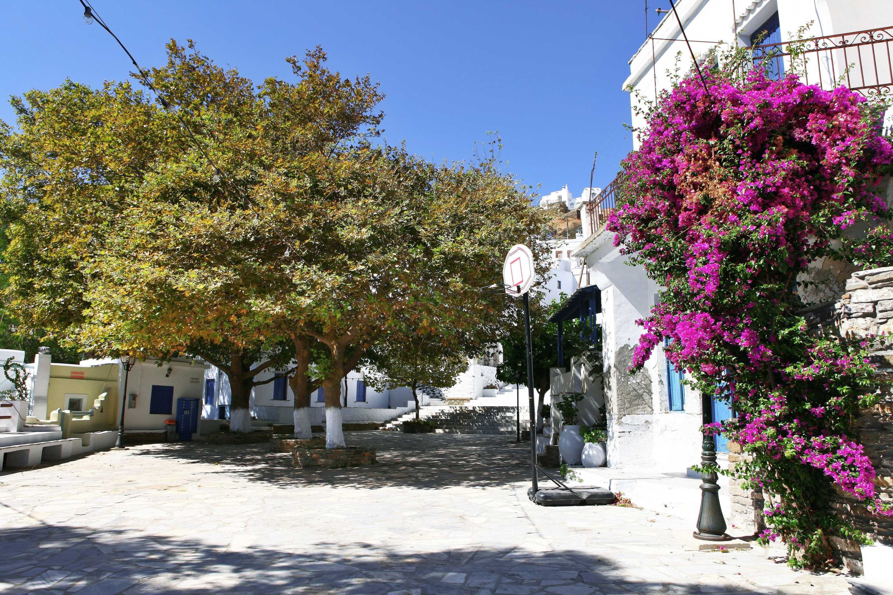 Gift card for Tinos E Houses Gift card for Tinos E Houses