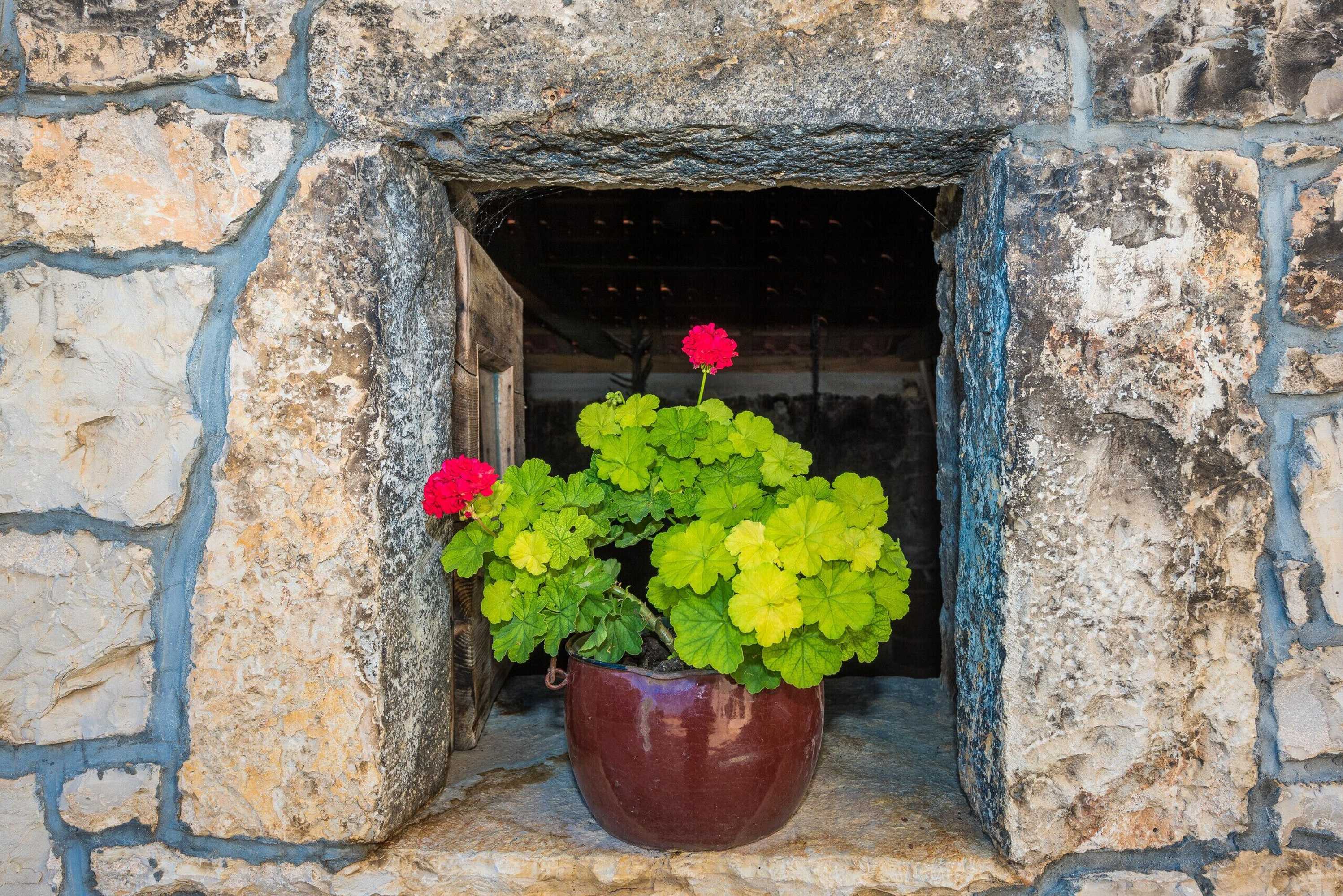 Gift card for Villa Petrovi Dvori